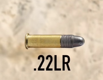 .22 LR.jpg