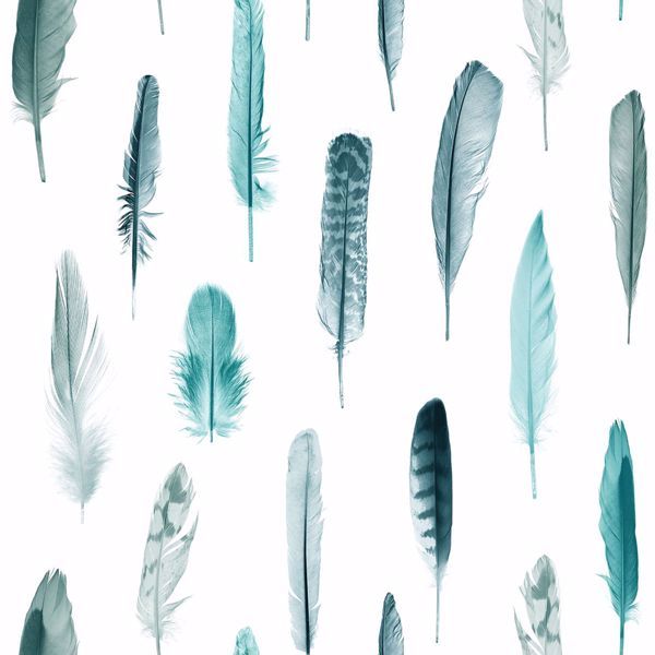 0041180_nala-turquoise-feathers-wallpaper_600.jpeg