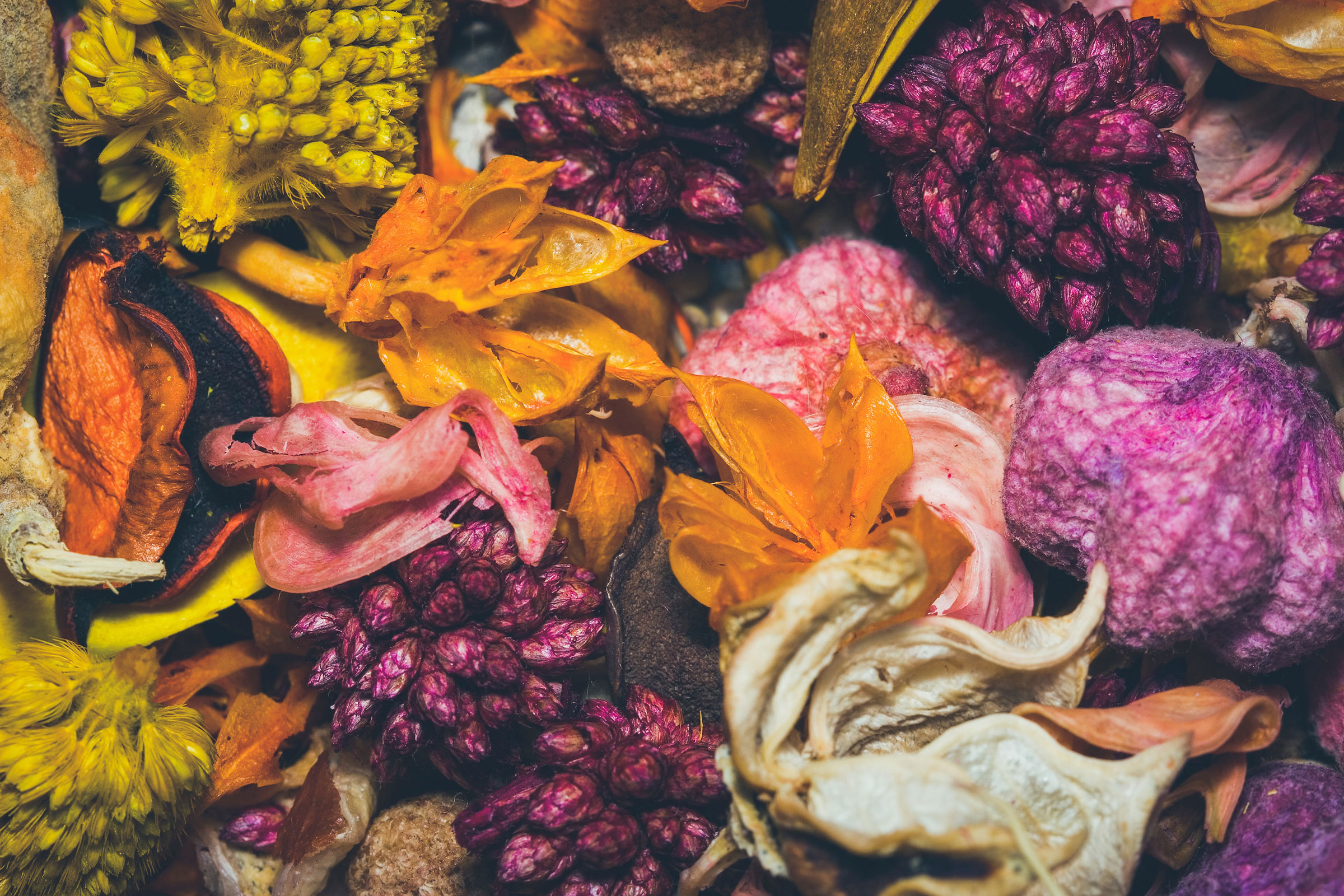 01-5-ways-to-preserve-flowers-microwave-flowers.jpg