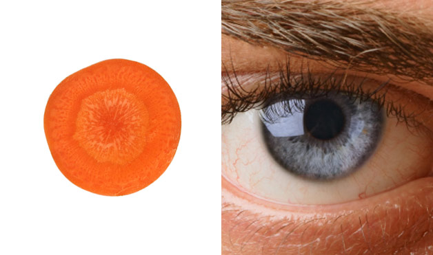 01-Carrot-Eye-Foods-That-Look-Like-Body-Parts.jpg