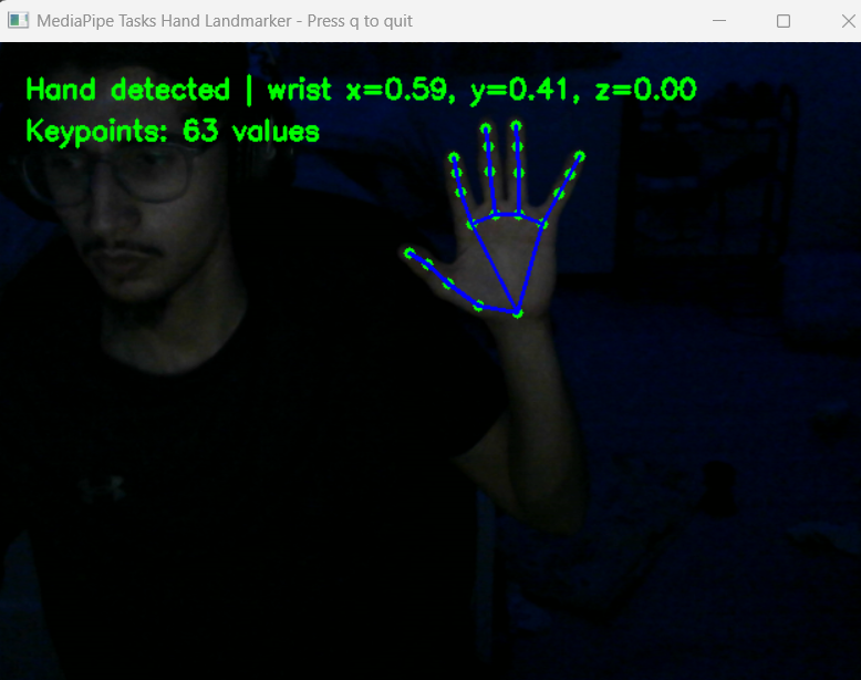 01_mediapipe_hand_landmarks_working.png