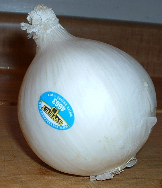 01_onions_onion.jpg