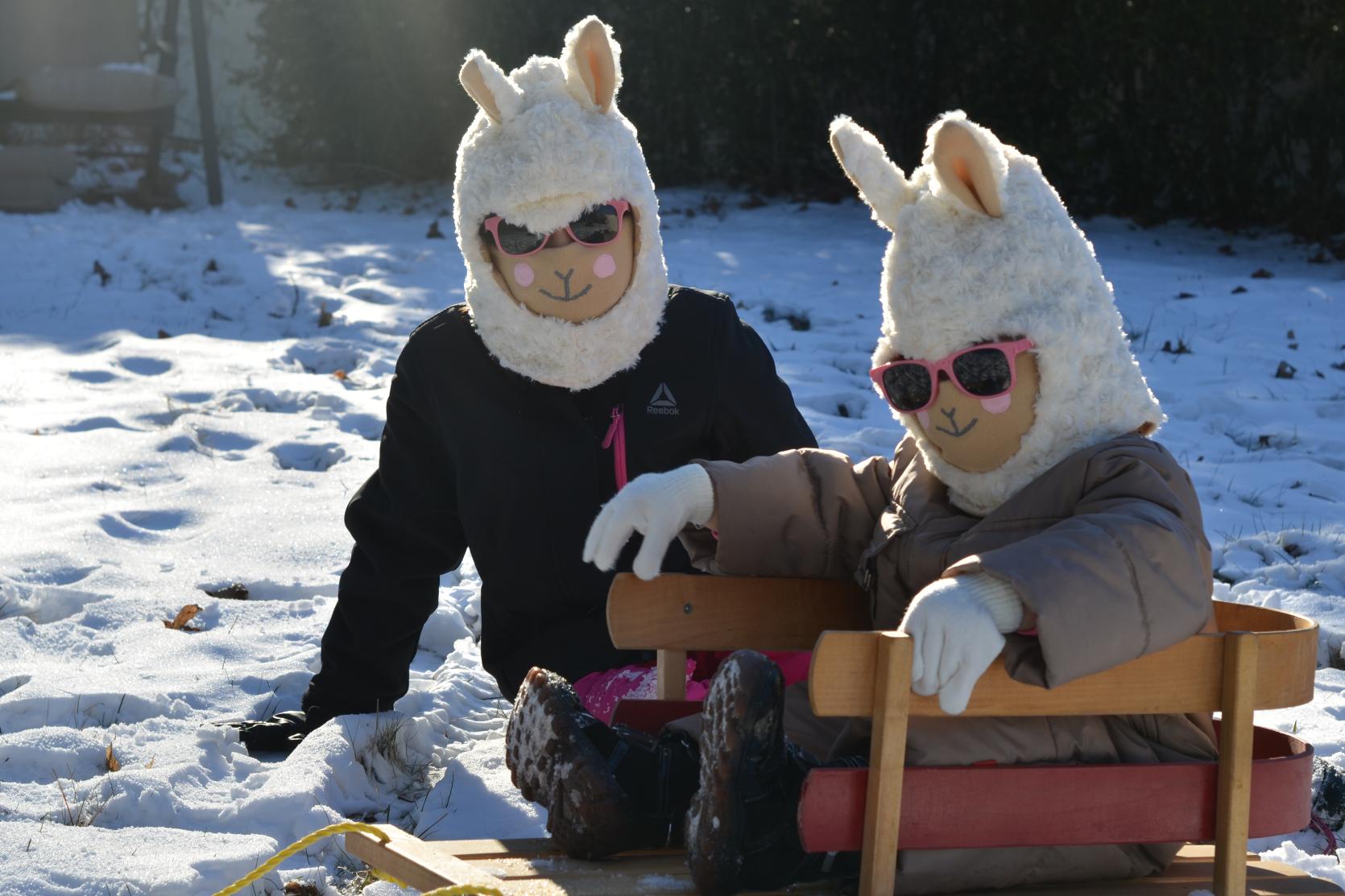 02-Llama Balaclava with Scarf.jpg