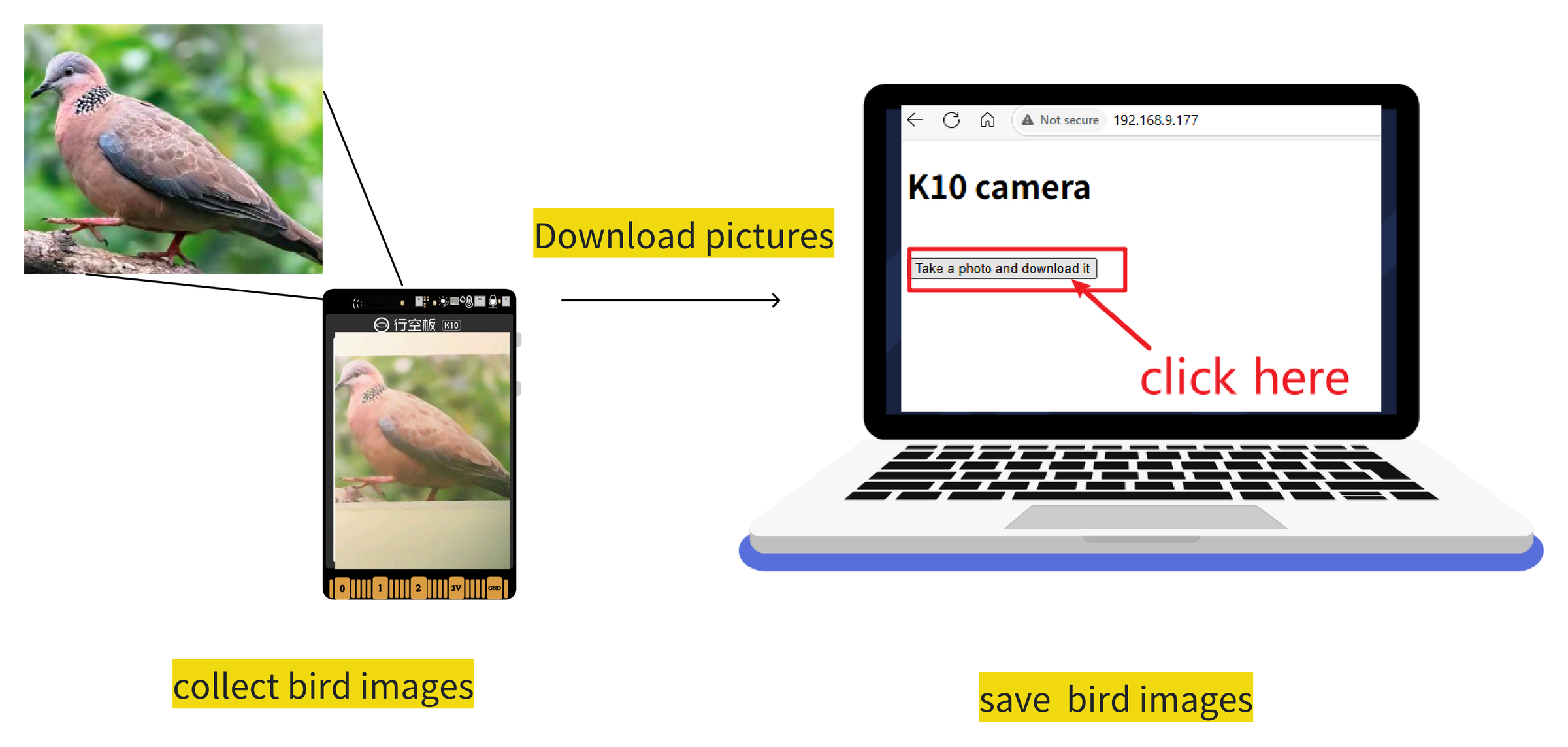 04-01-capture-bird-images.png