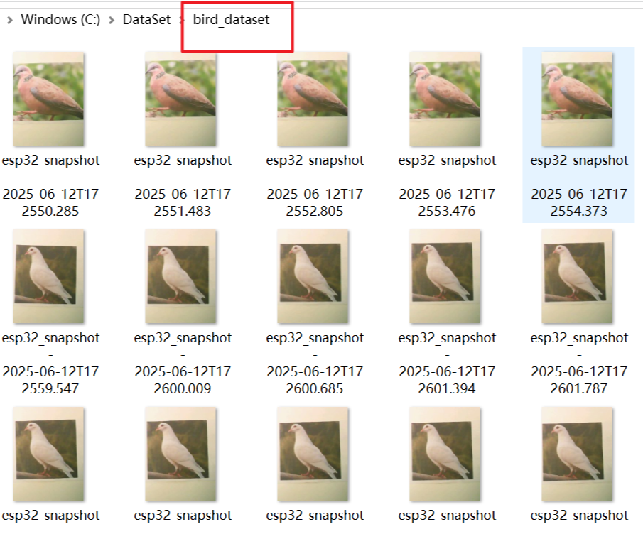 04-02-bird-dataset-folder.png