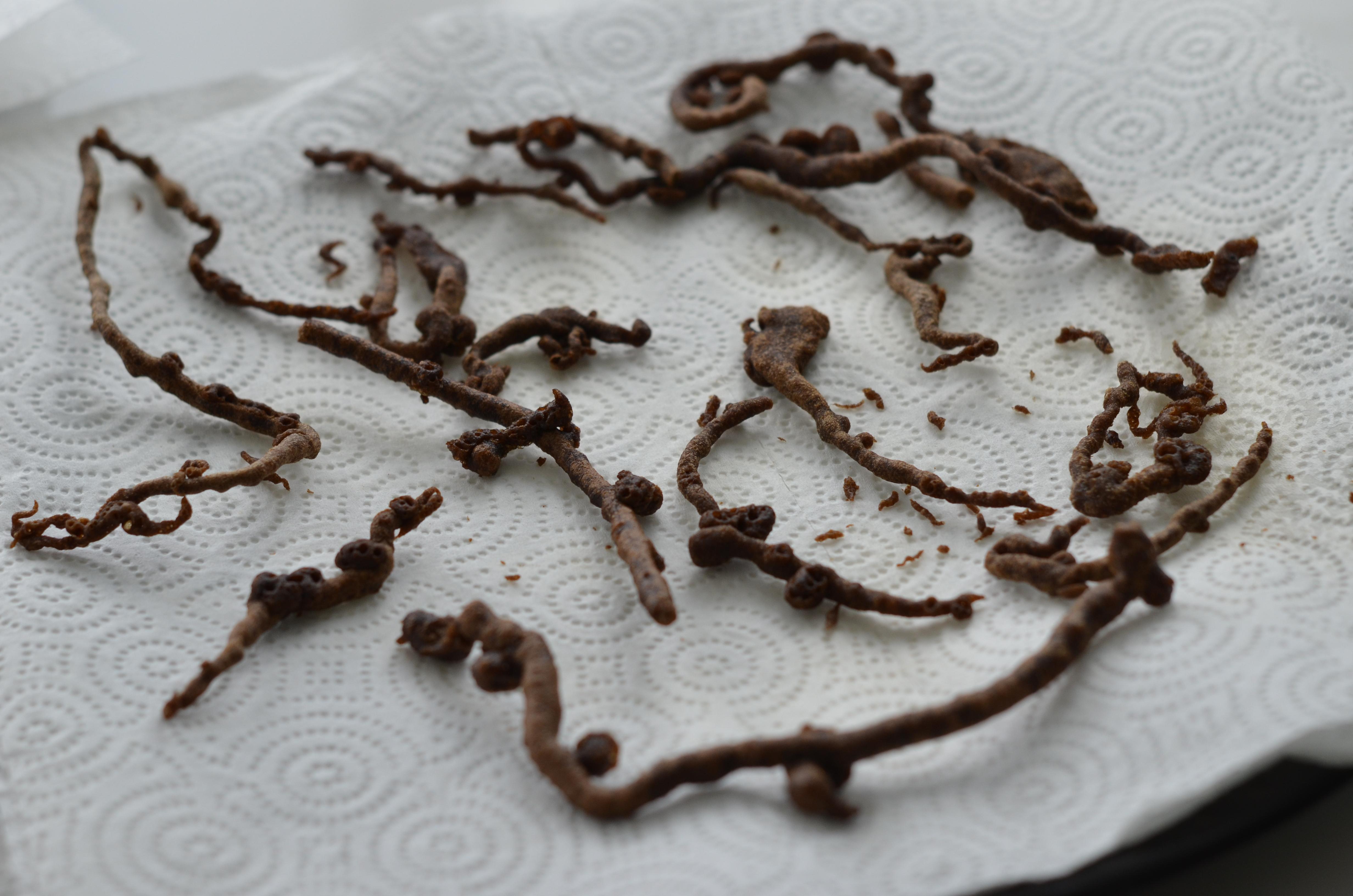 04-Chocolate Funnel Cake Twigs.JPG