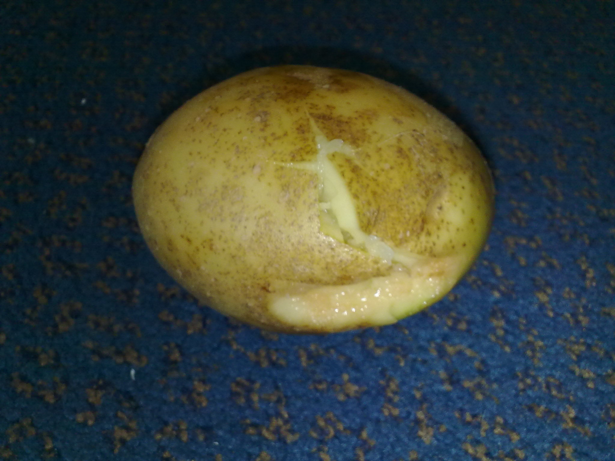05052010249.jpg