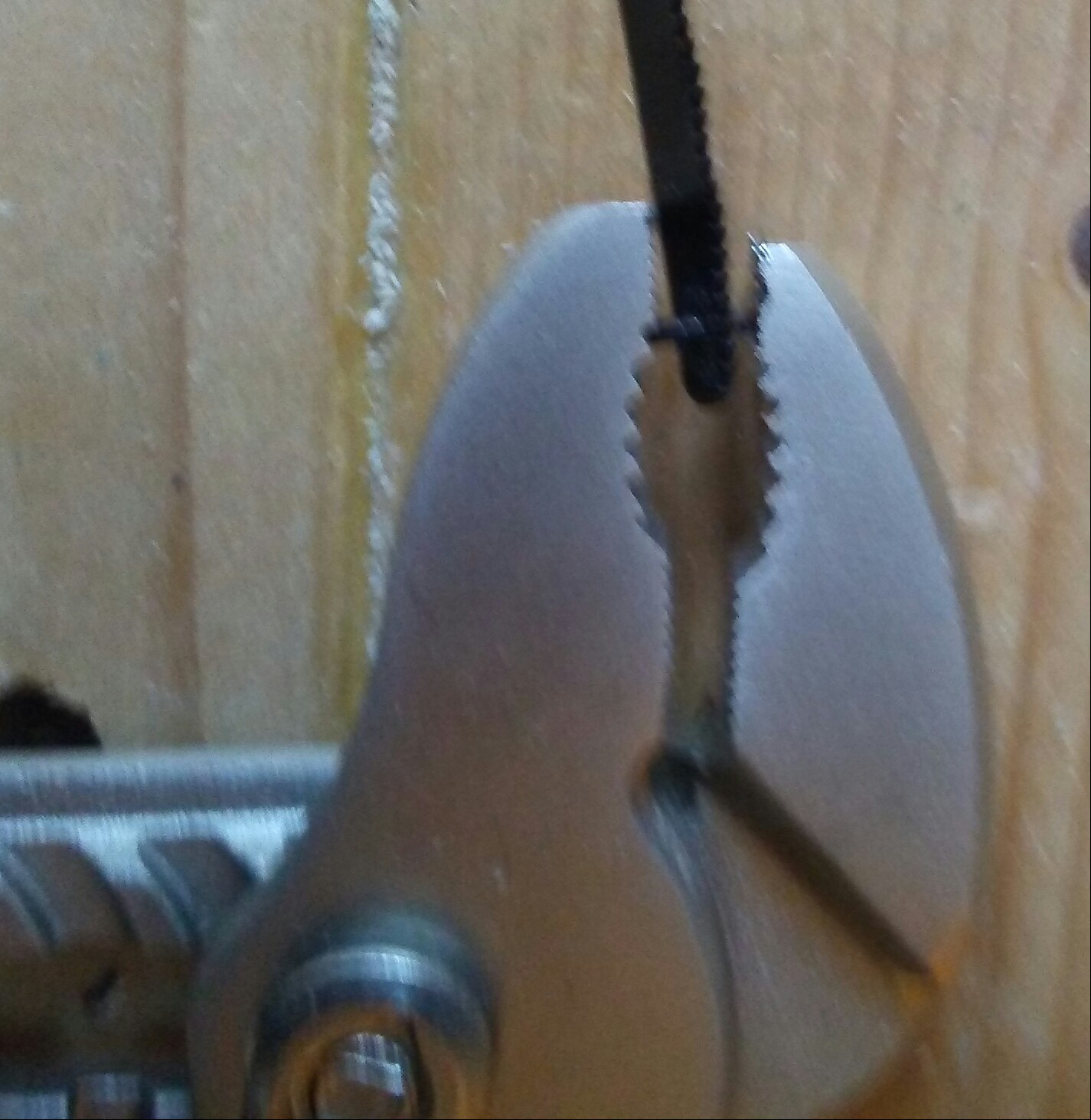 0621191319a-1.jpg