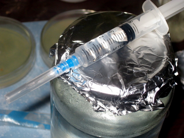 07Inoculation010.JPG