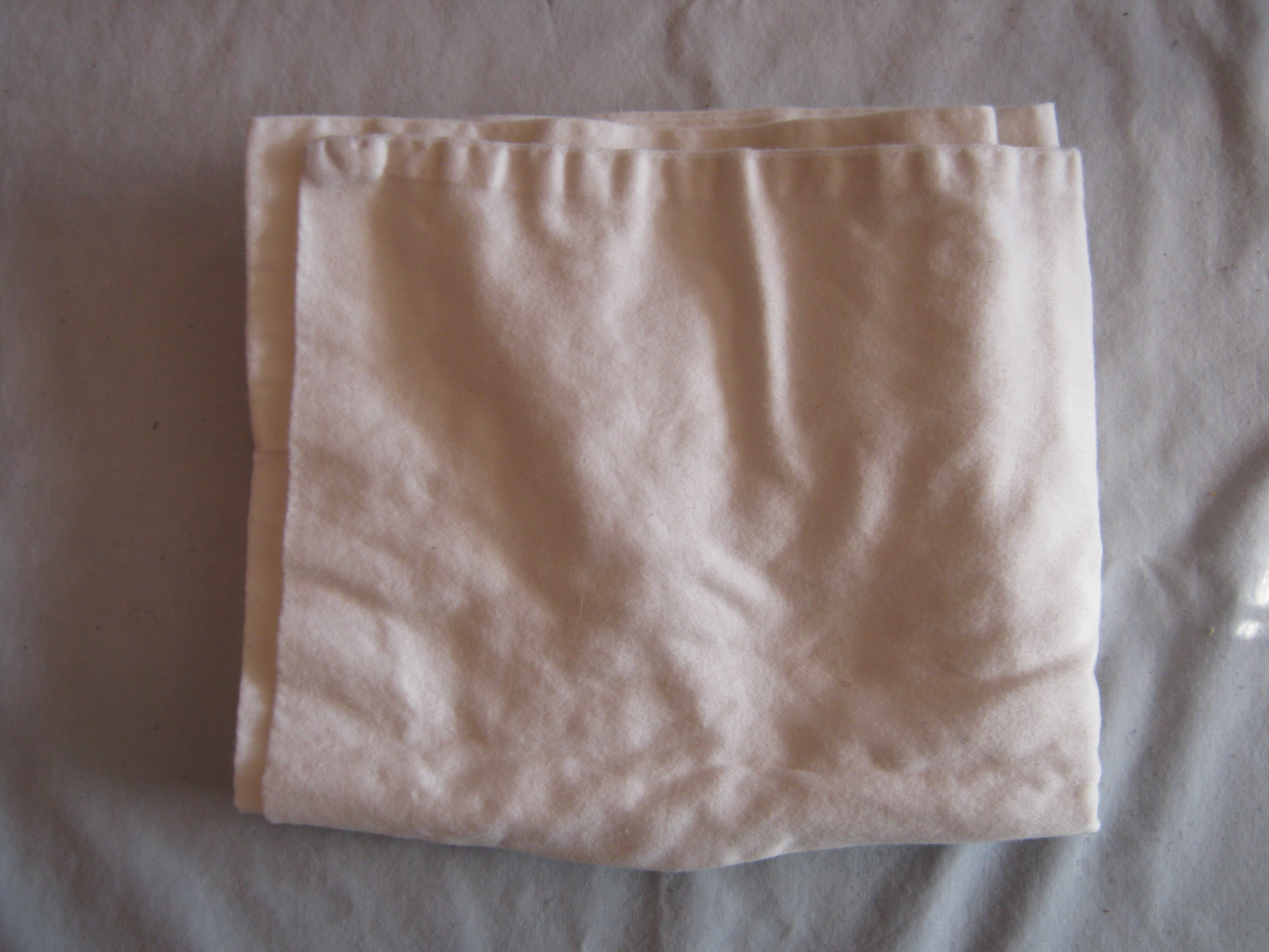 1 - 10 - White Cloth.JPG