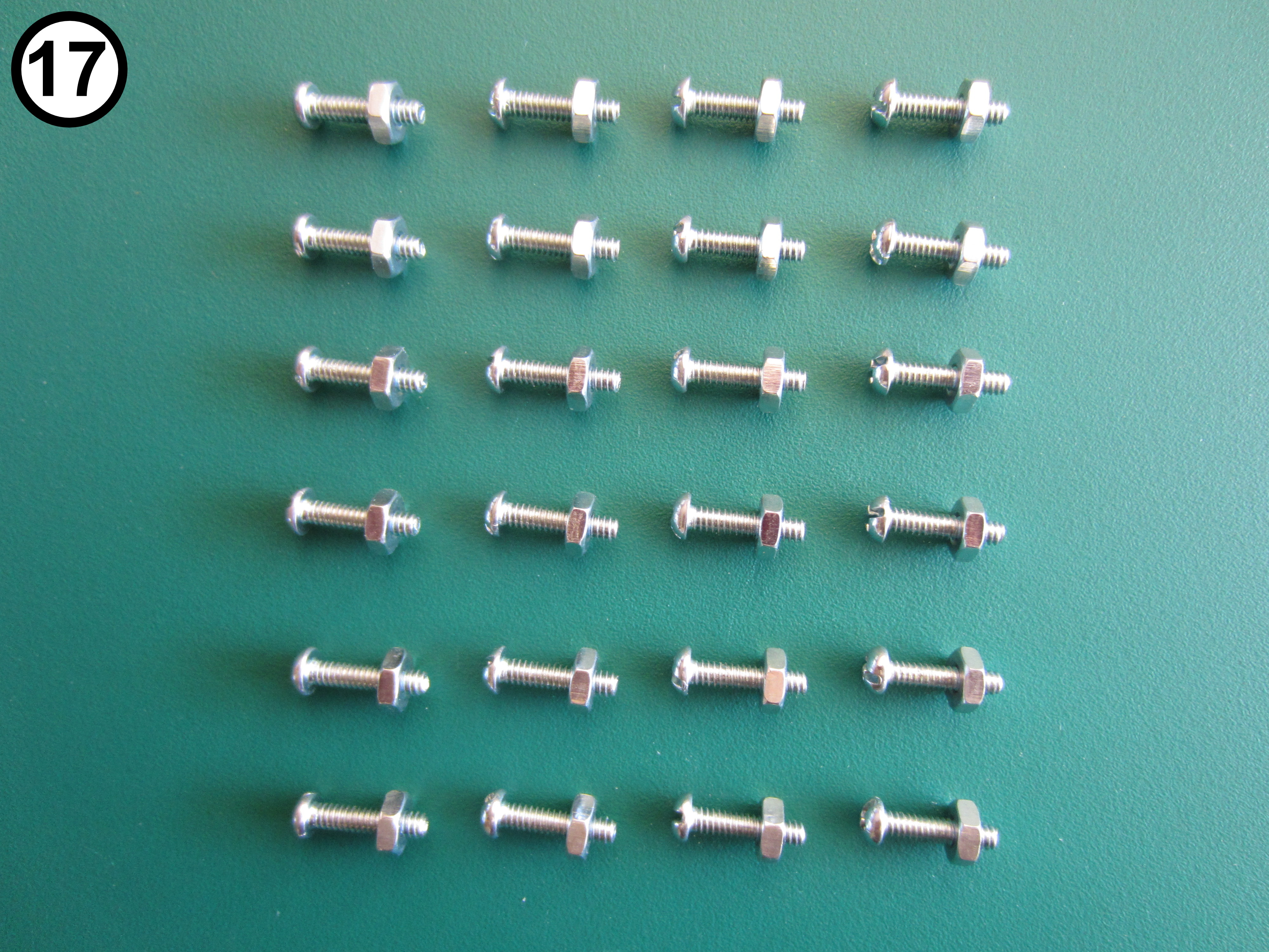 1 - 17 - Case - Machine Screws and Nuts.JPG