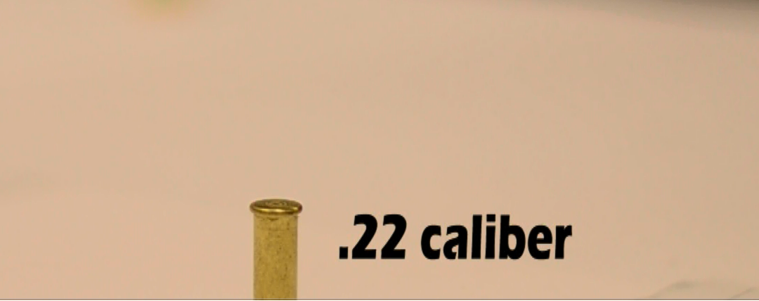 1 .22 cal.png