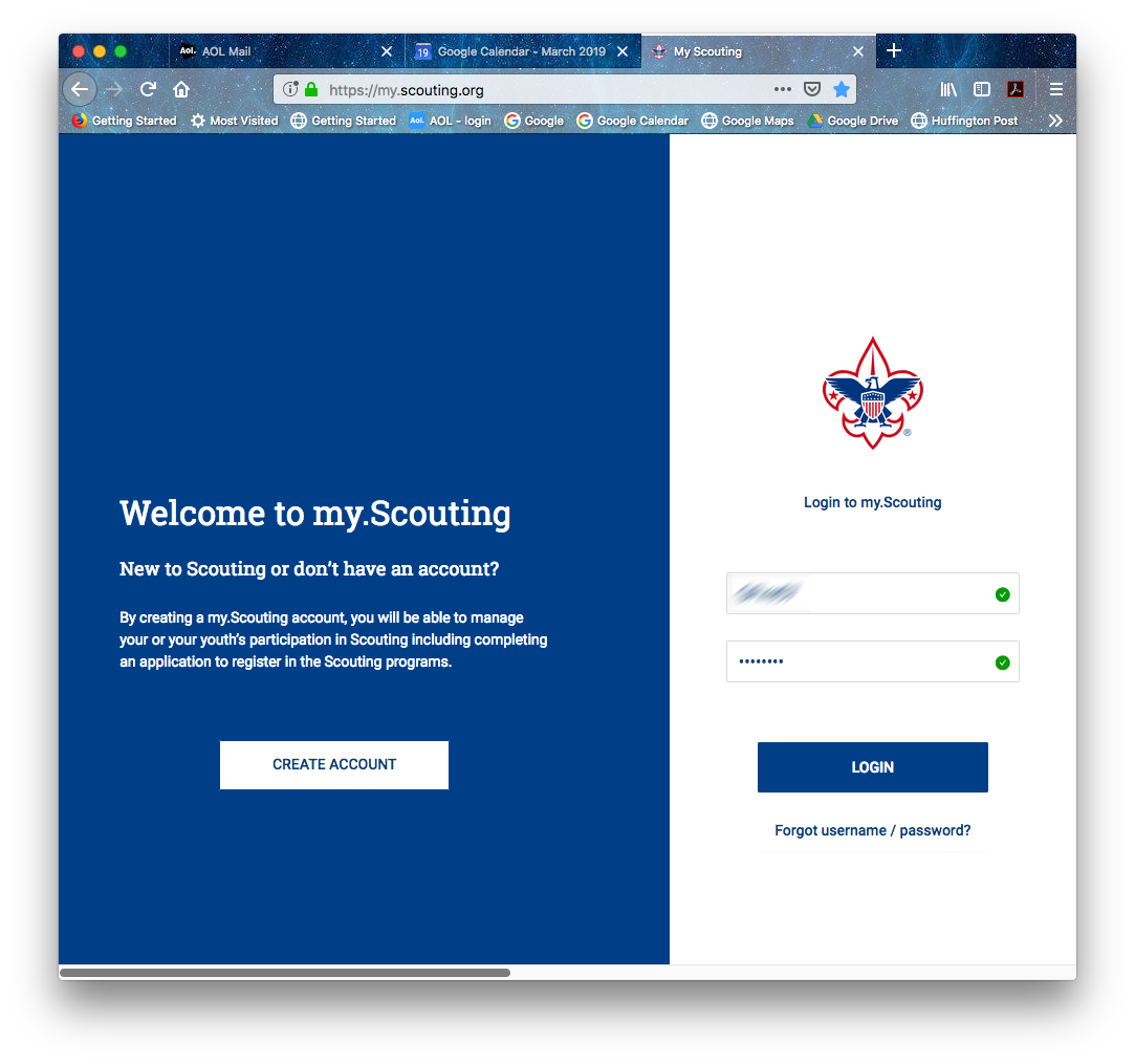 1 MyScoutingOrg.png