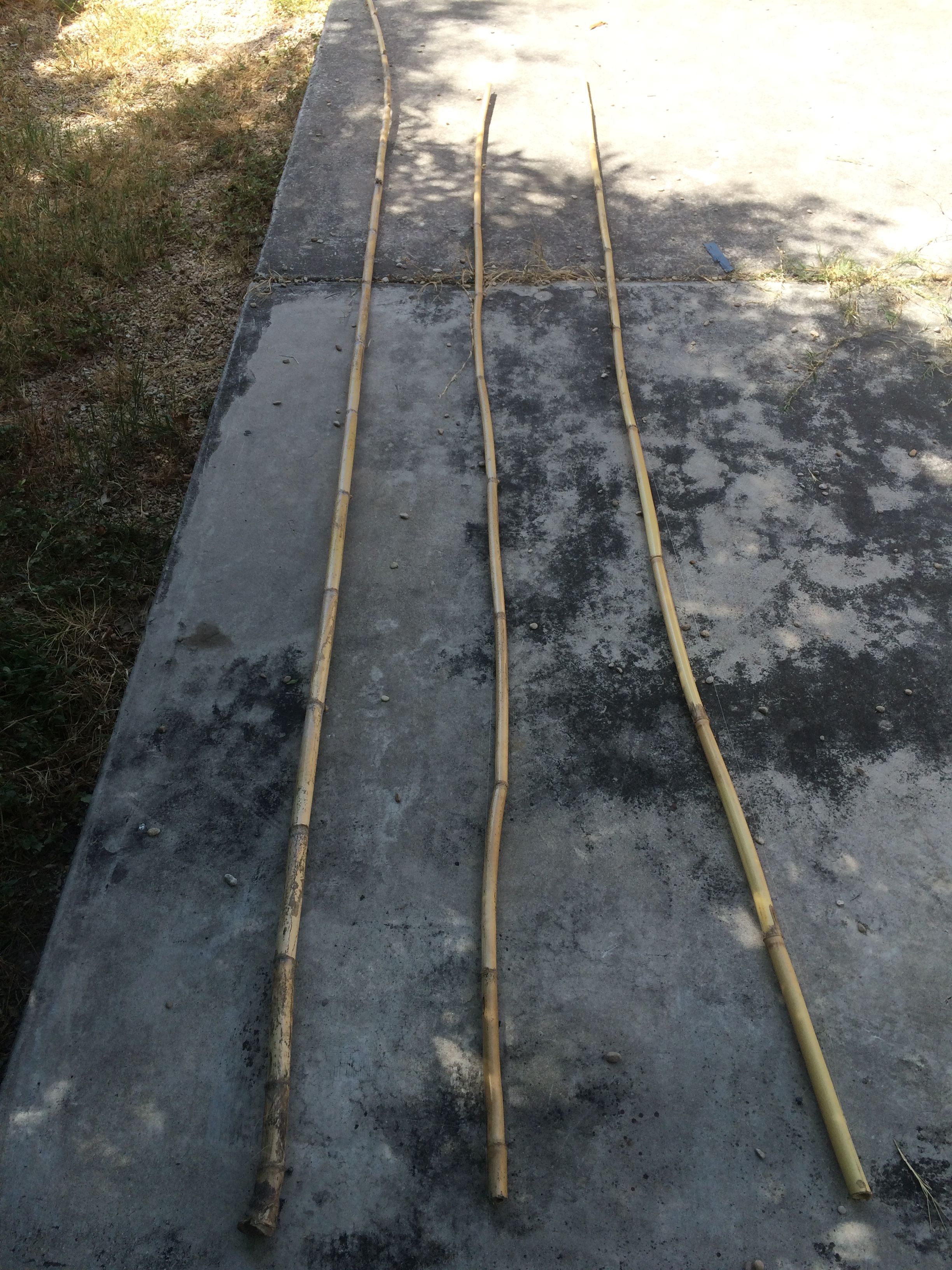 1 Rattan Poles.JPG