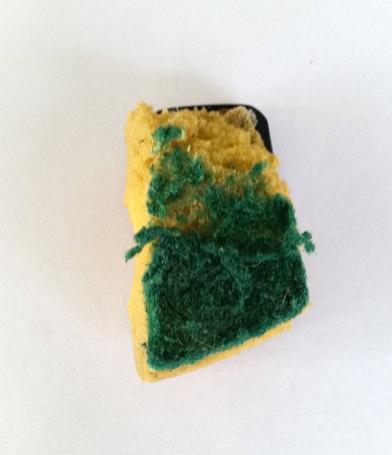 1-Old-Sponge.jpg