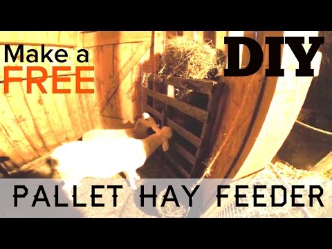 10 min DIY - How to Make A Free Animal Hay Feeder out of Pallets