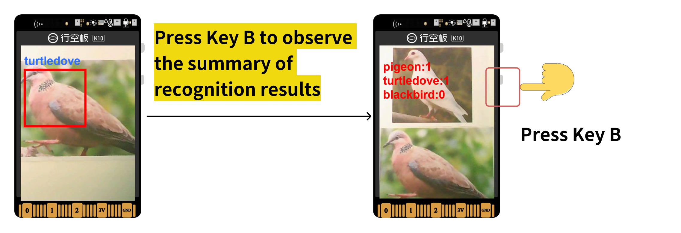 10-07-species-counts.png