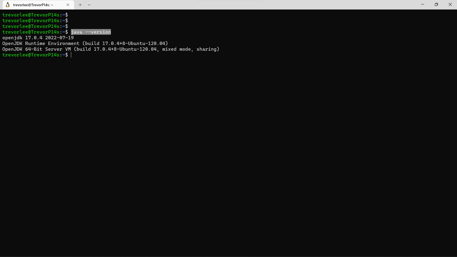 10-0_check-java-installed.png