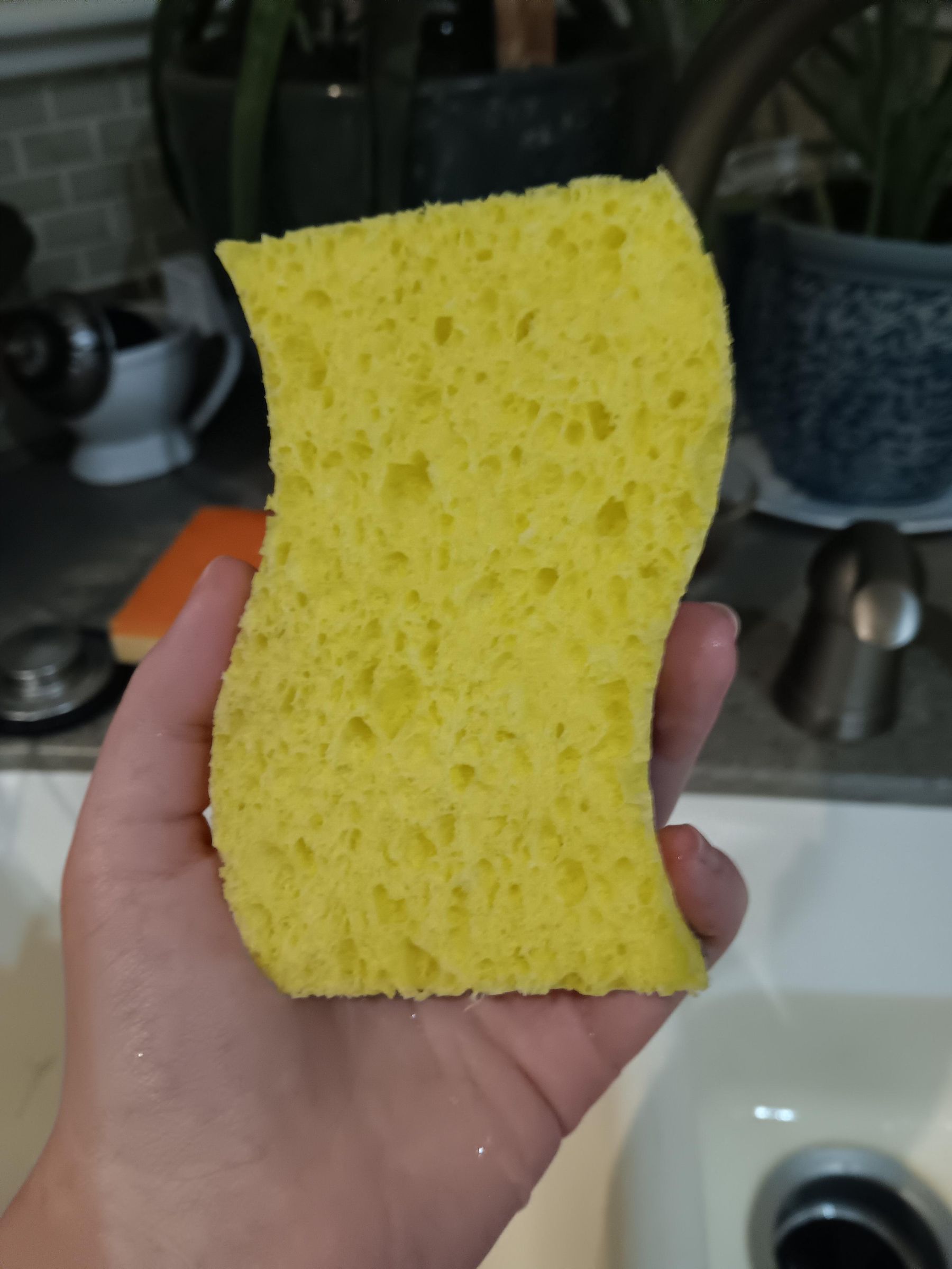 1000006321.jpg