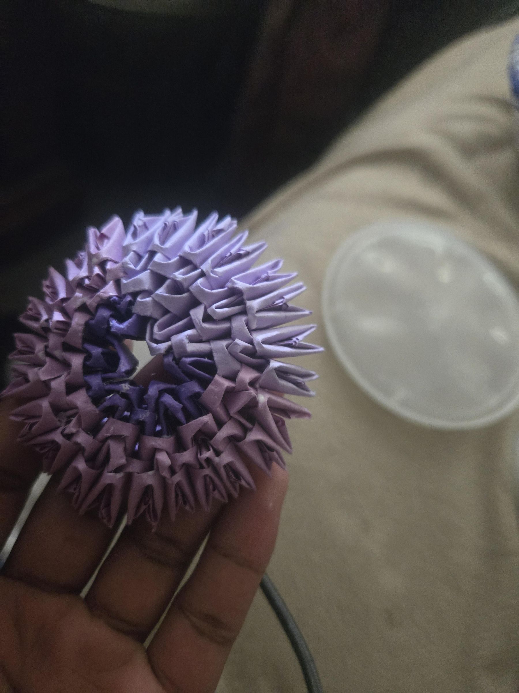 1000008038.jpg