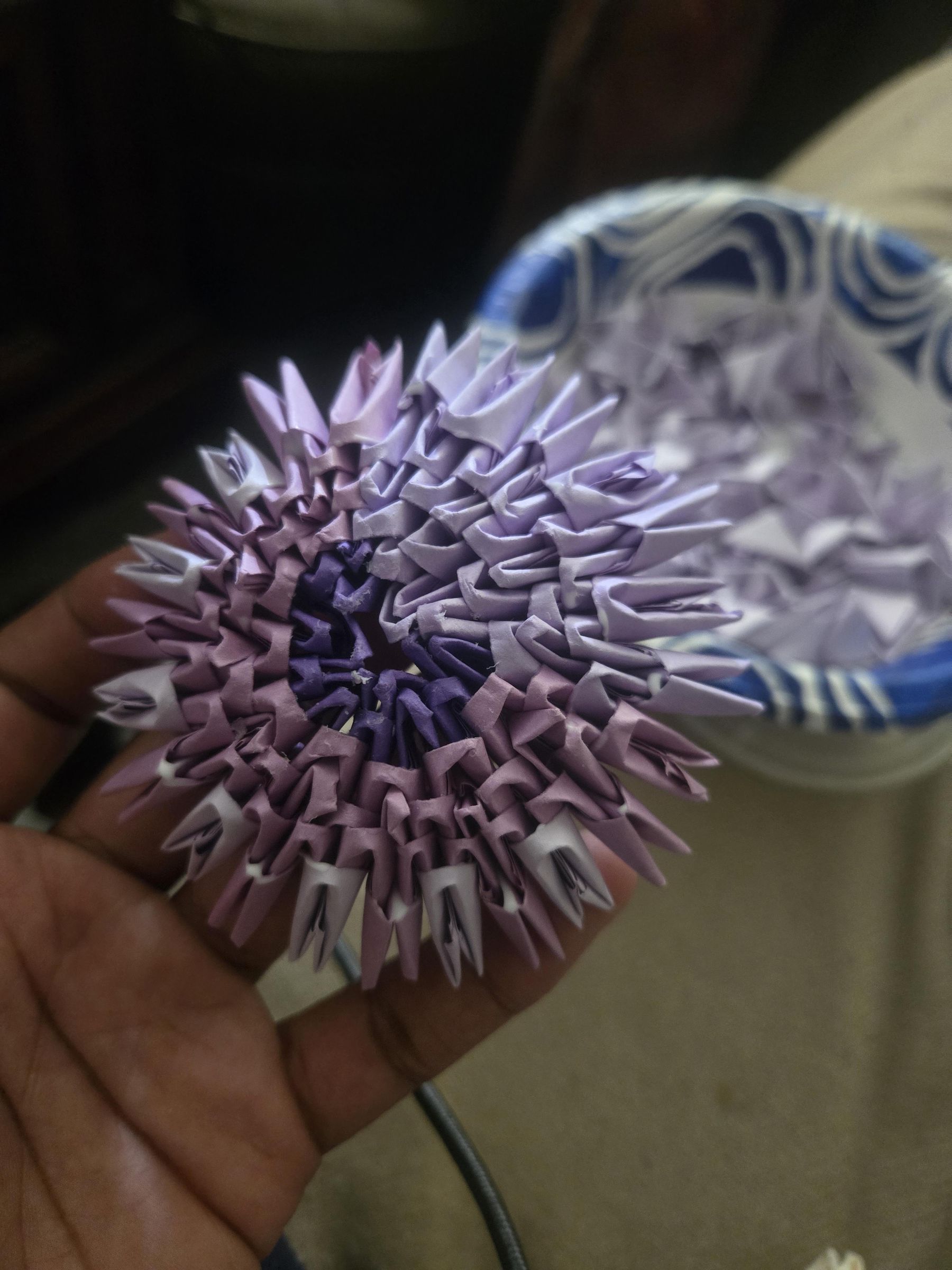 1000008043.jpg