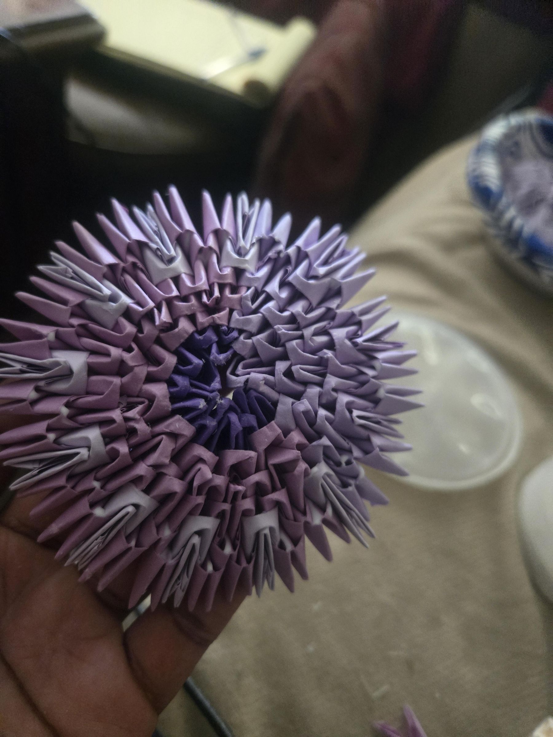 1000008046.jpg