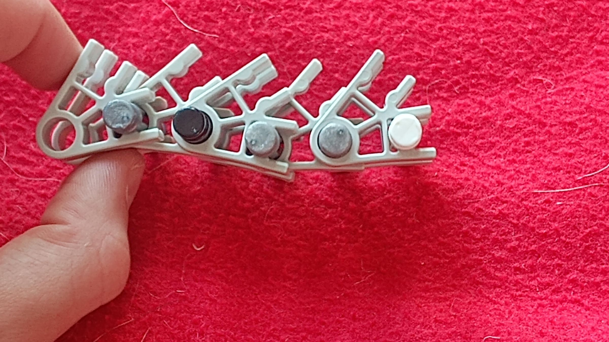 1000048969.jpg