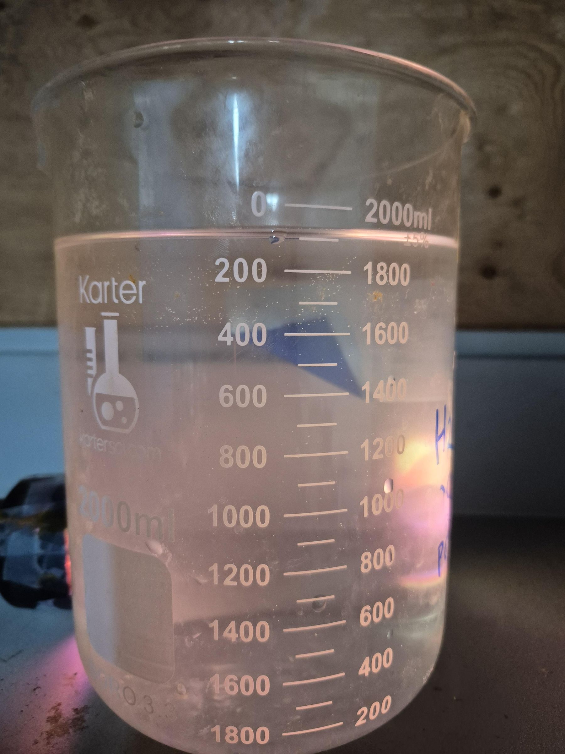 1000057538.jpg