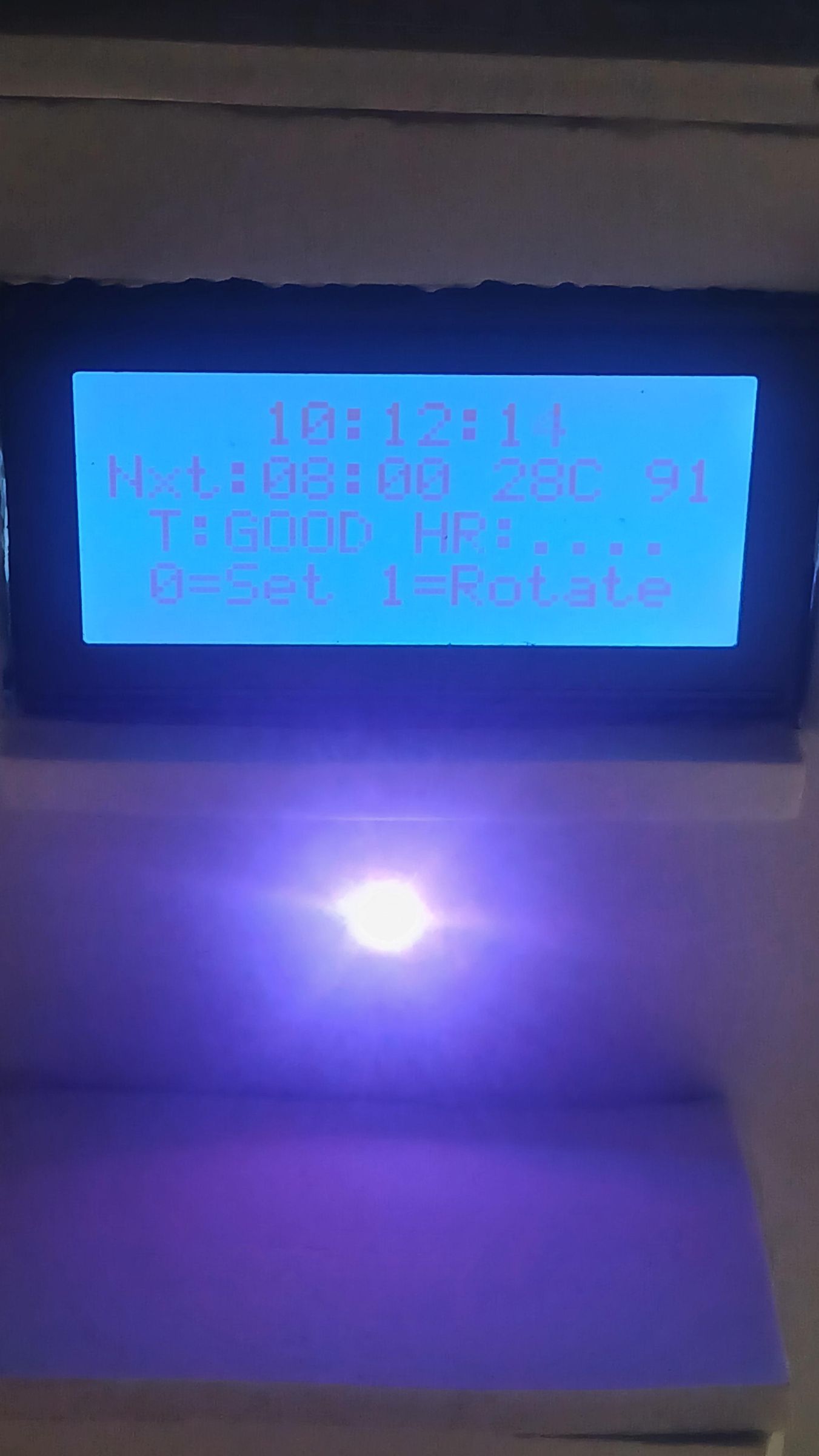 1000331387.jpg