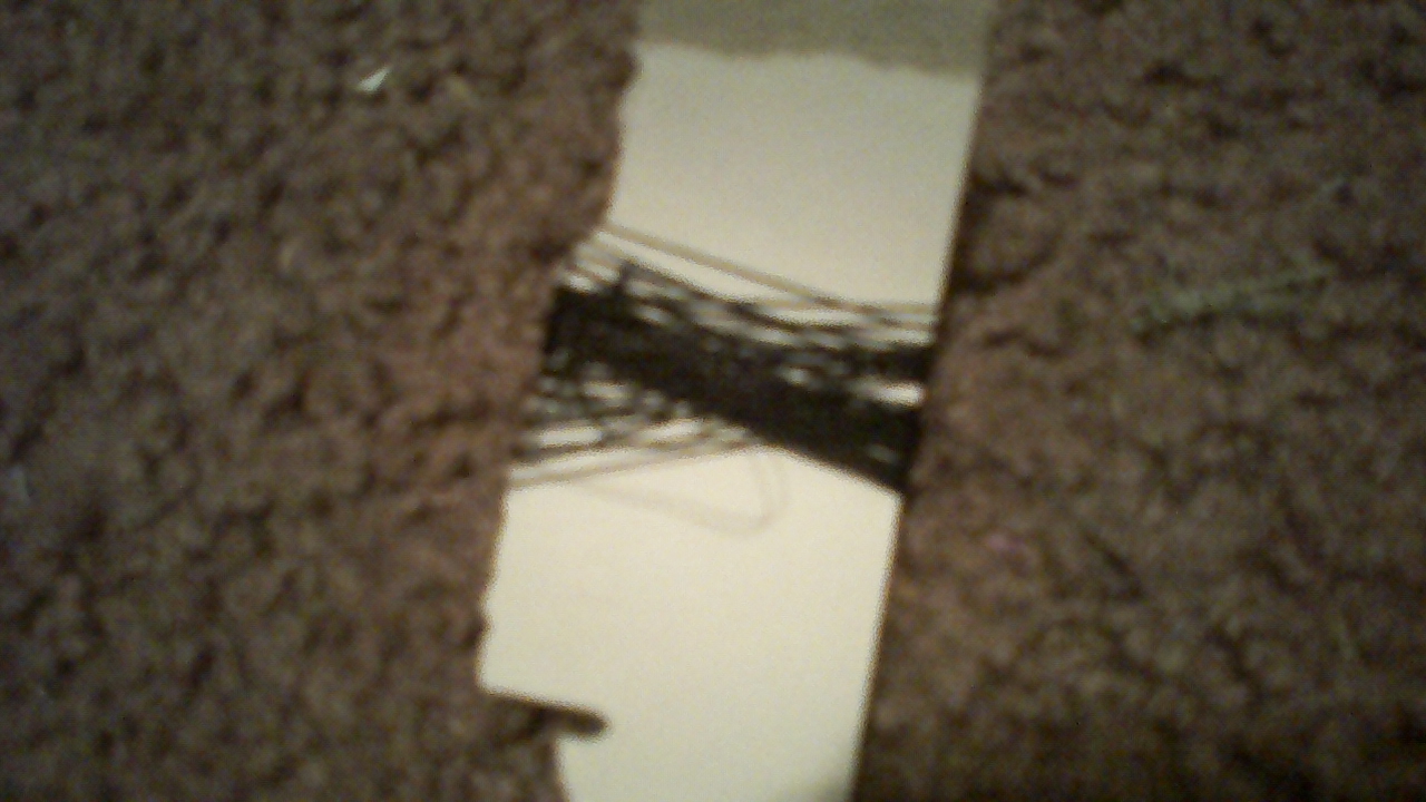 100_0290.JPG