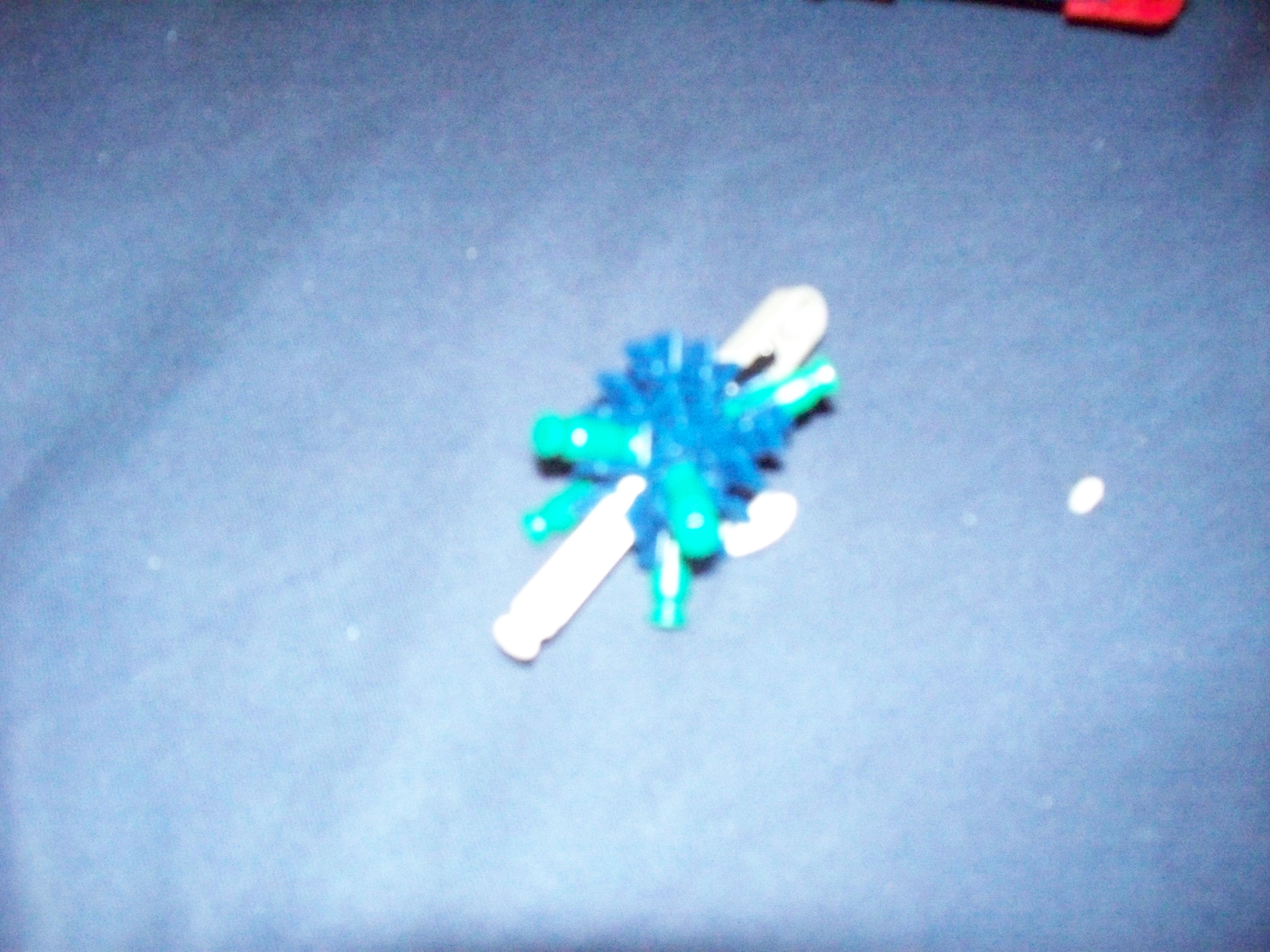 100_1018.jpg