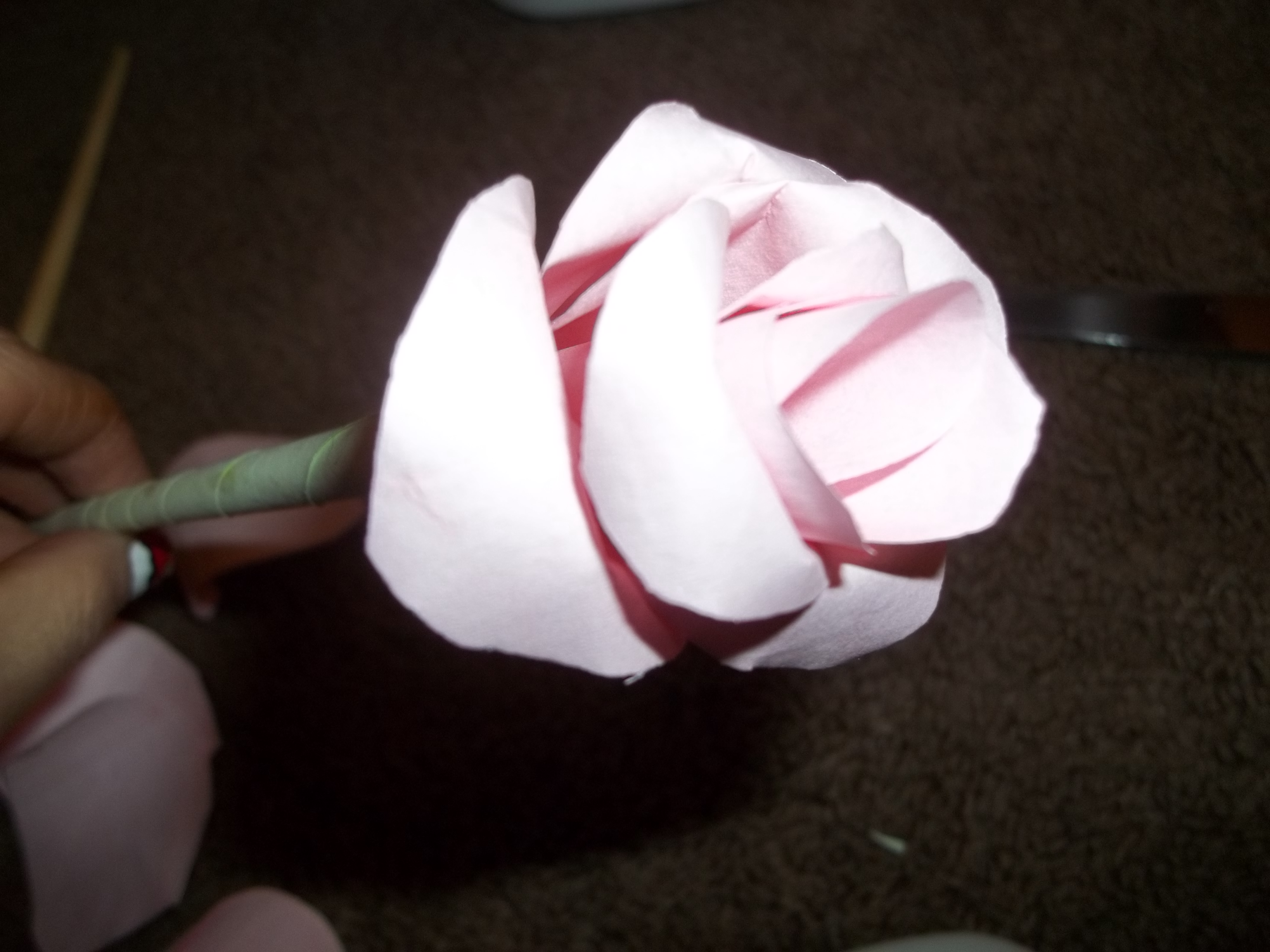 100_1103.JPG