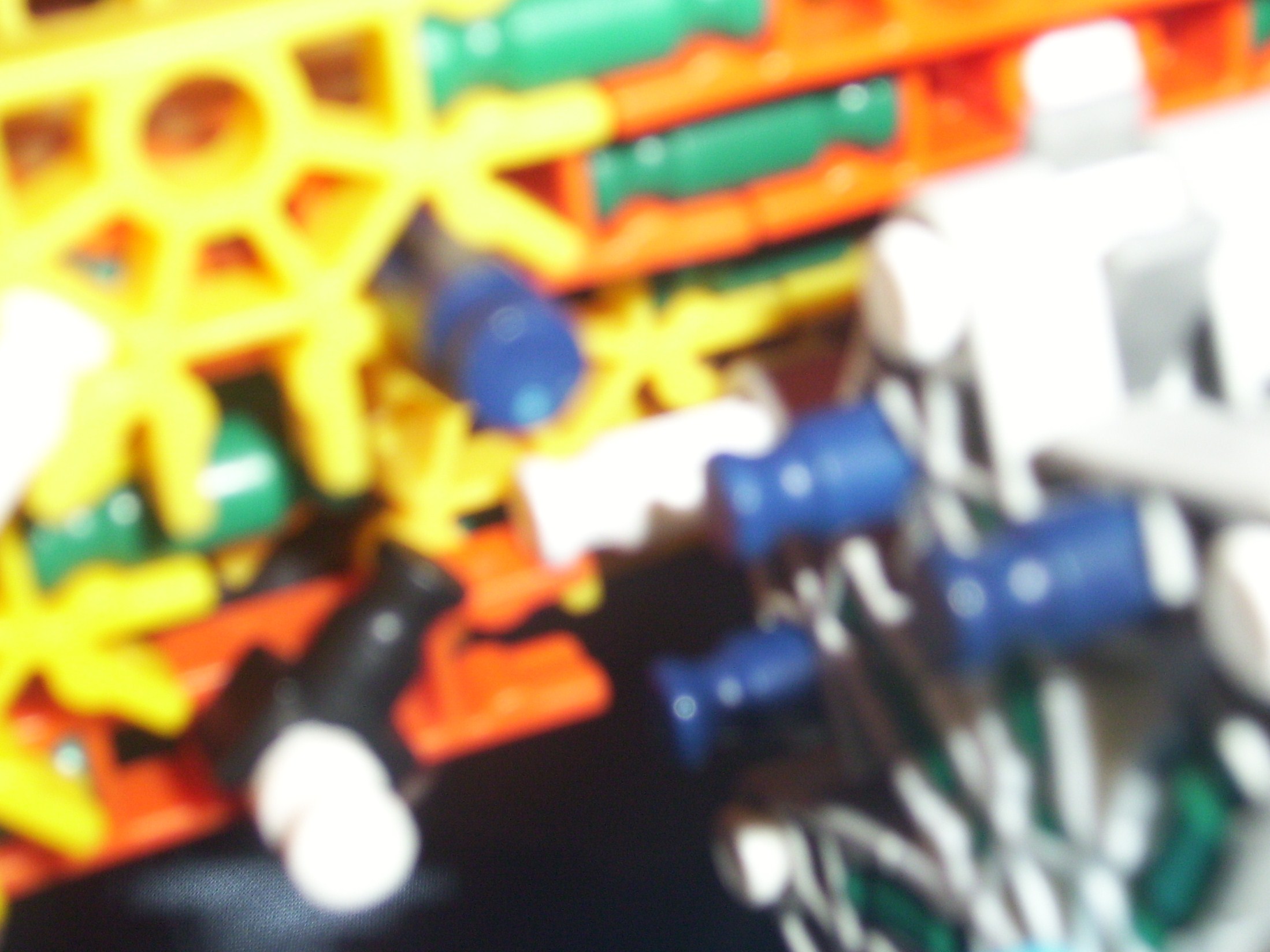 100_1113.JPG