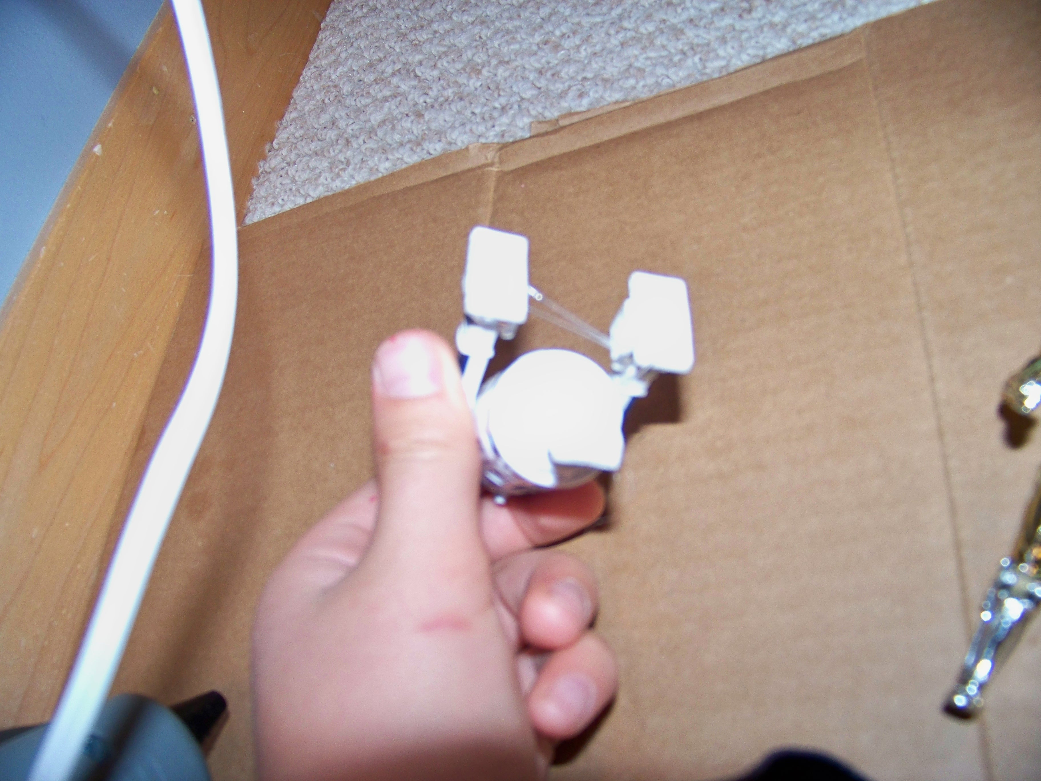 100_1119.JPG