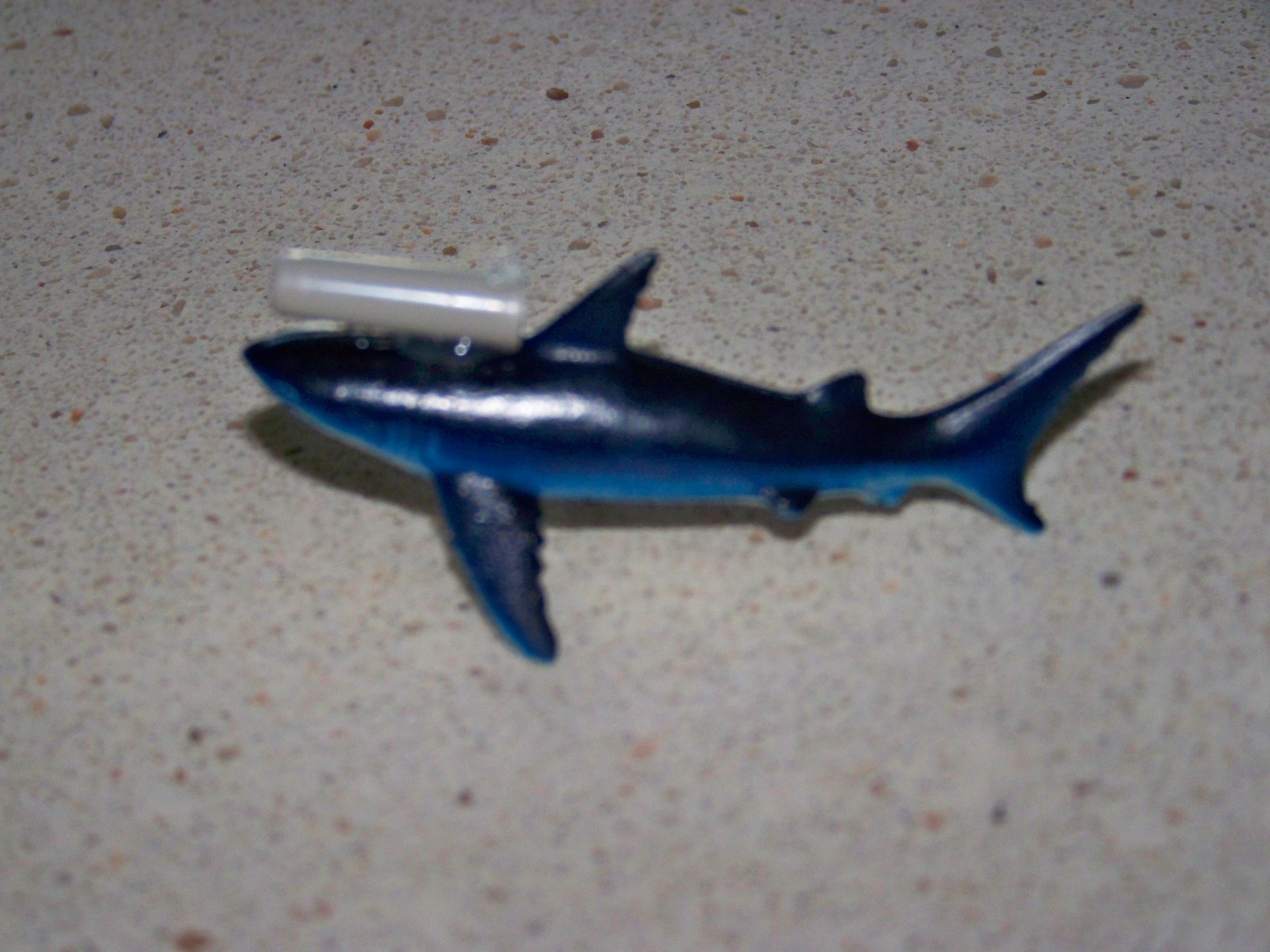 100_1135.JPG