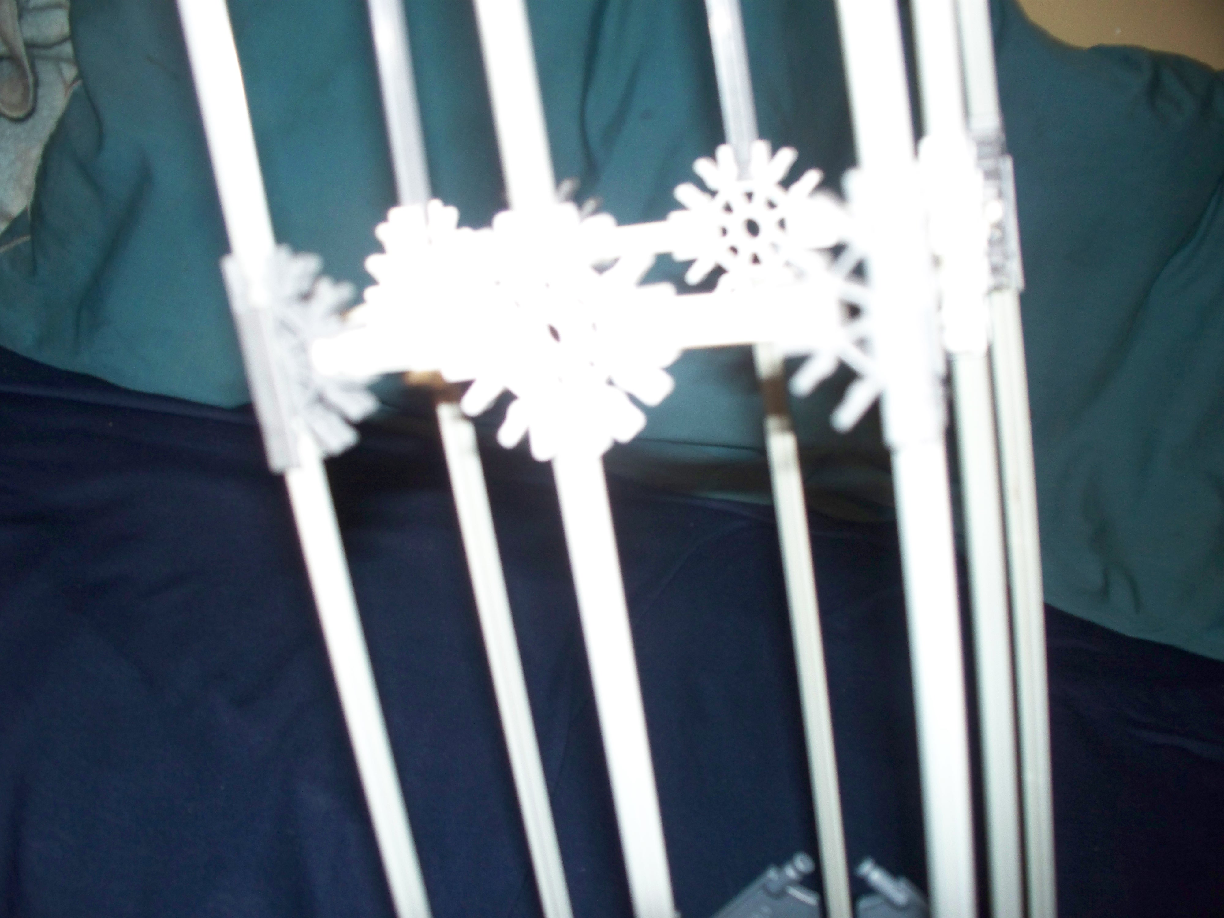 100_1135.jpg
