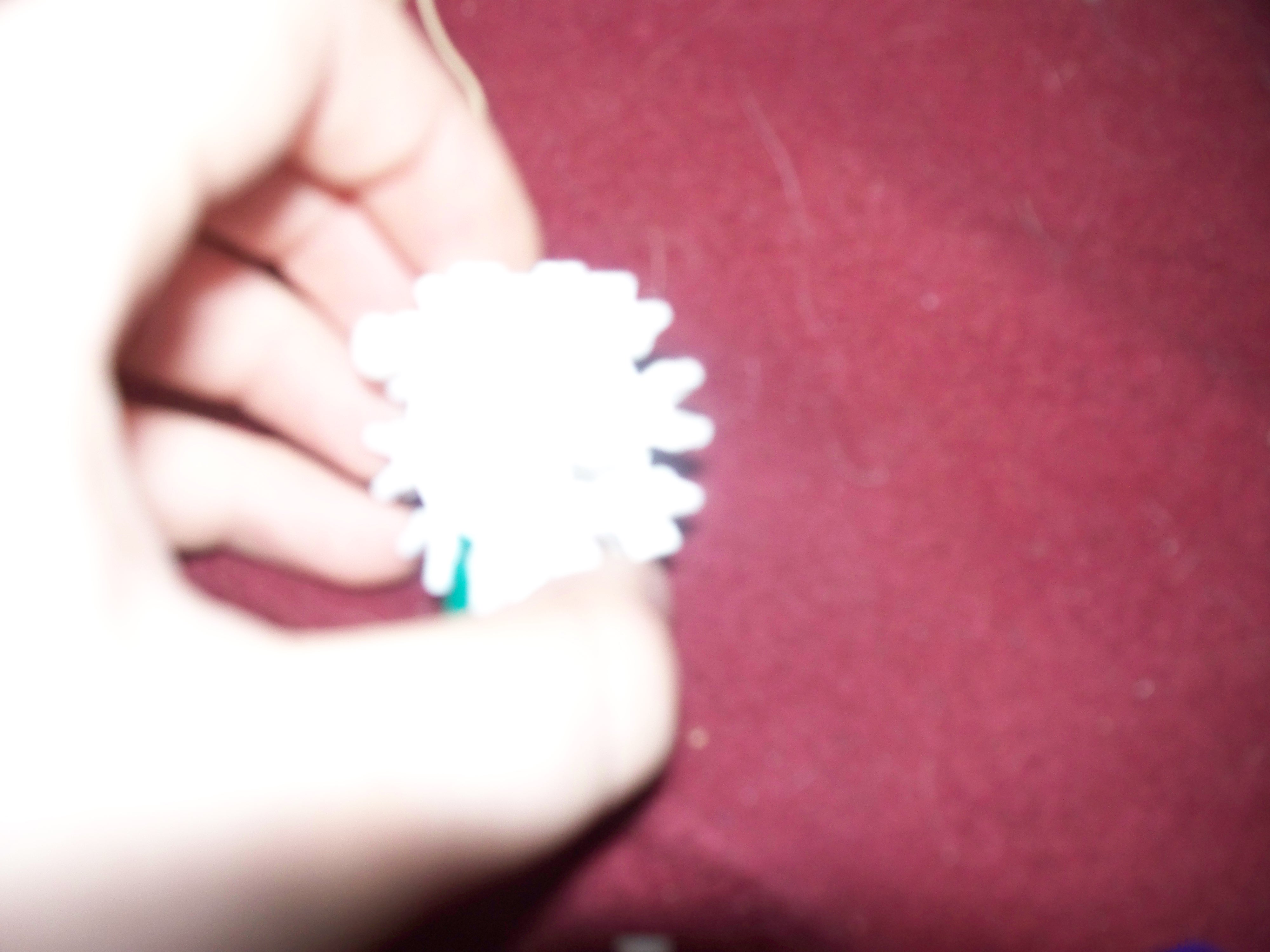 100_1483.jpg