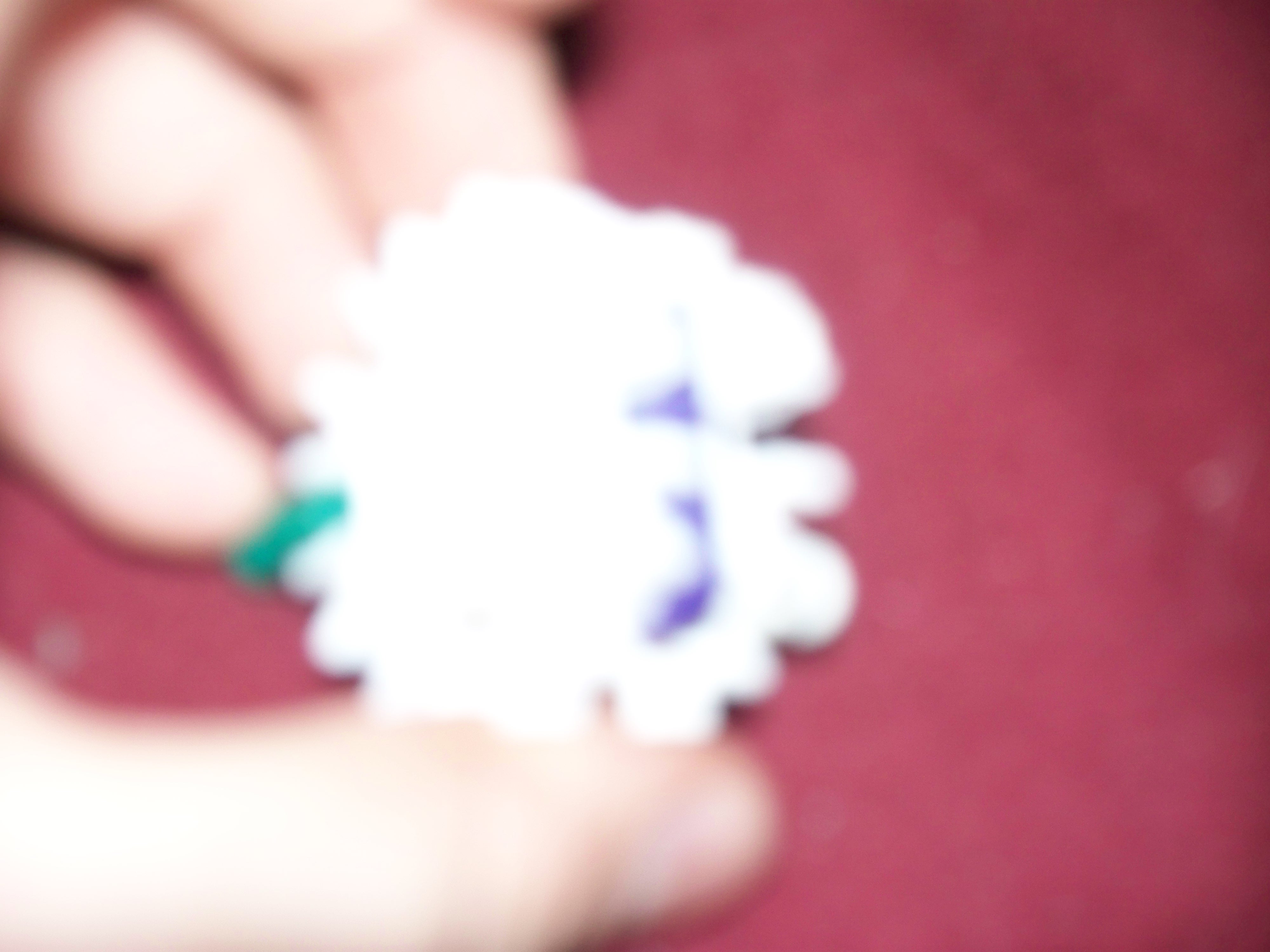 100_1485.jpg