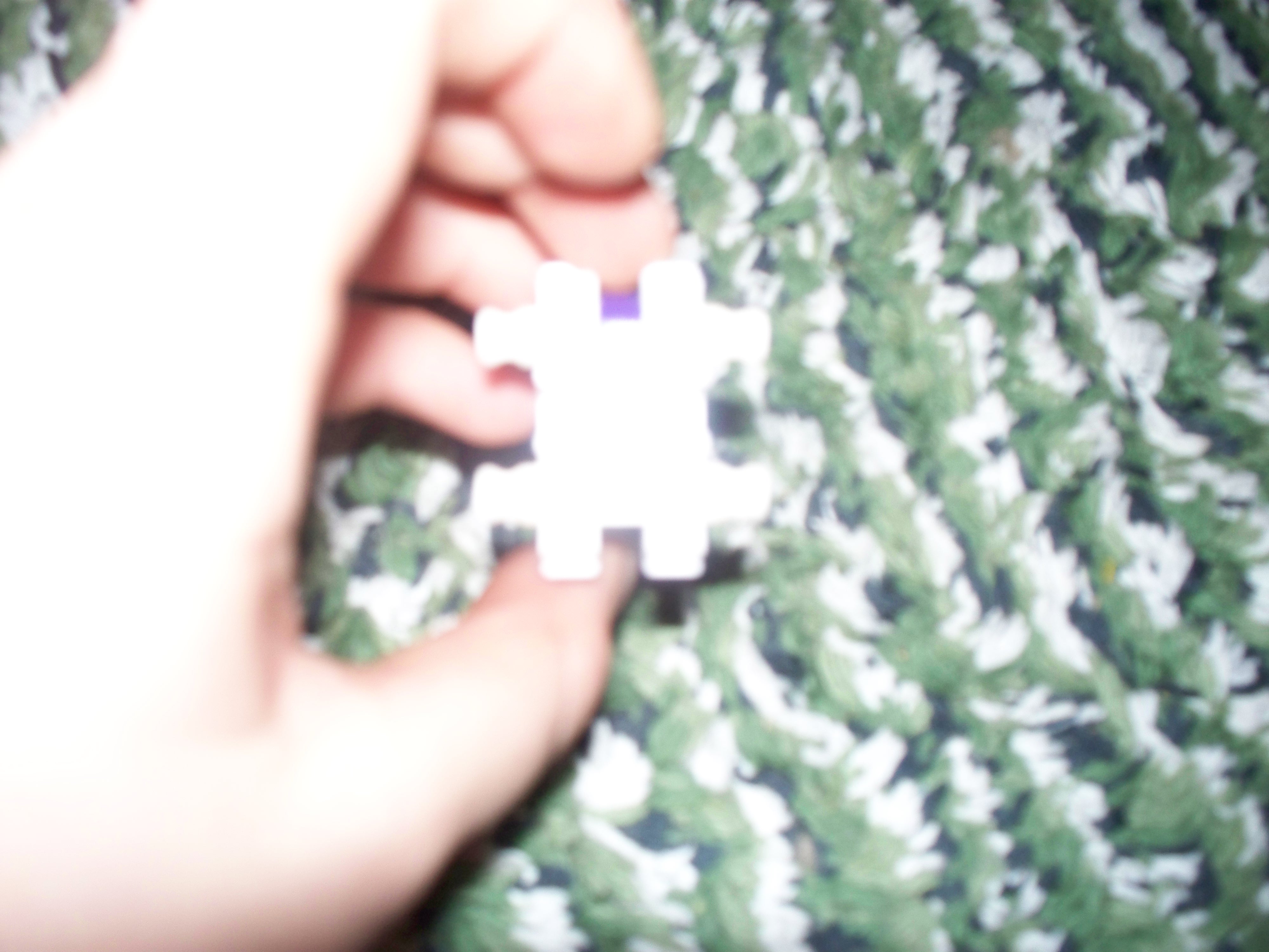100_1488.jpg