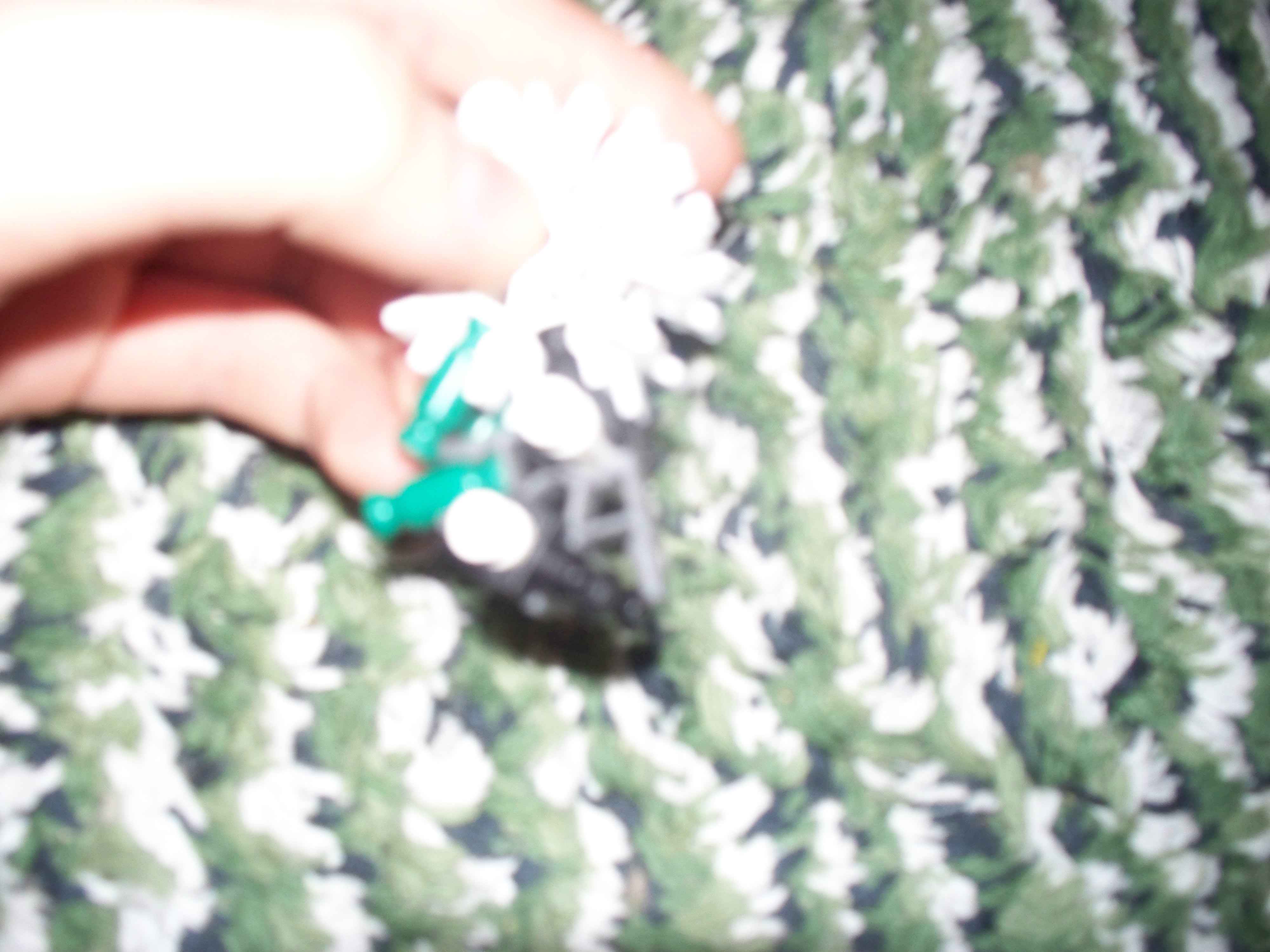 100_1495.jpg