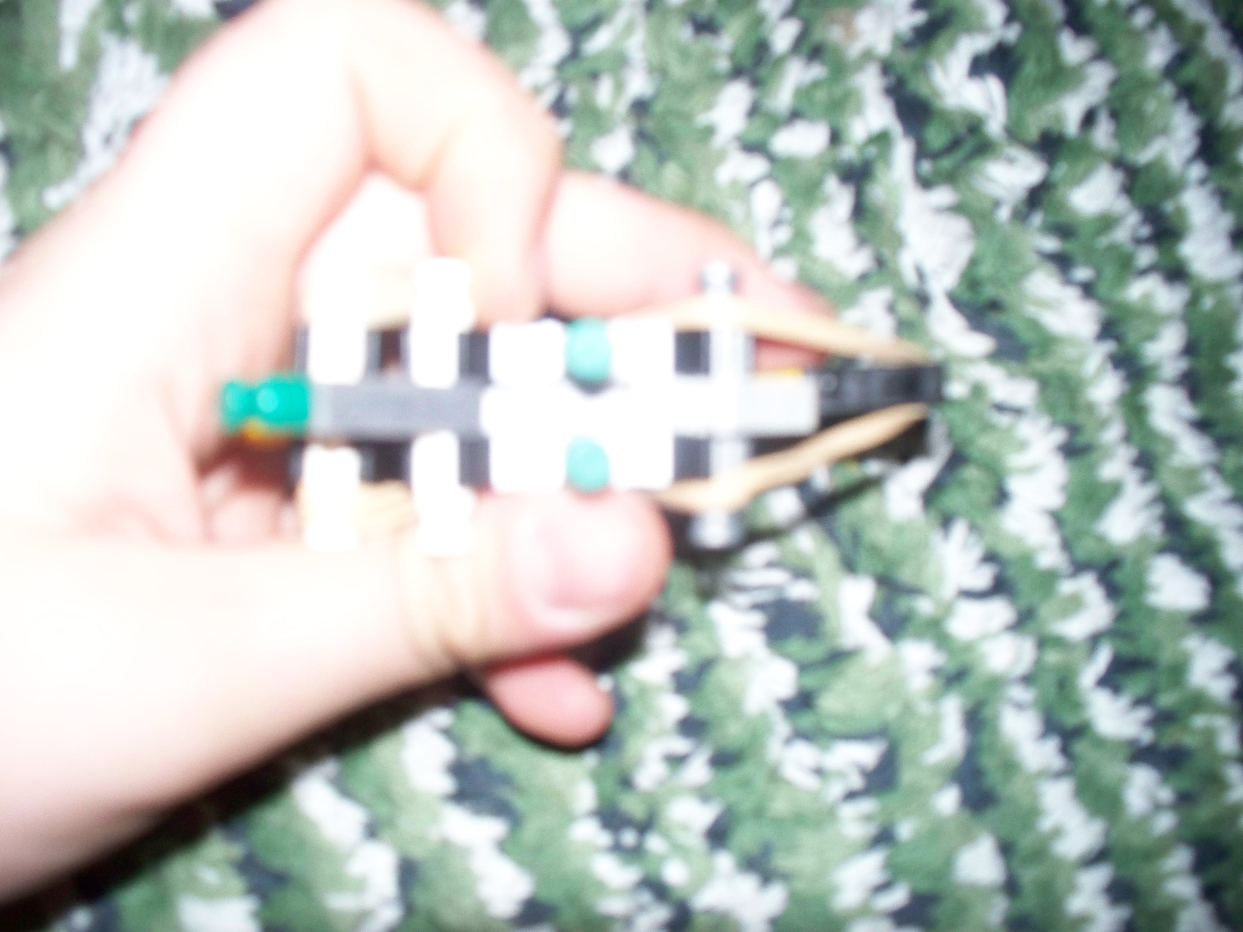 100_1506.jpg