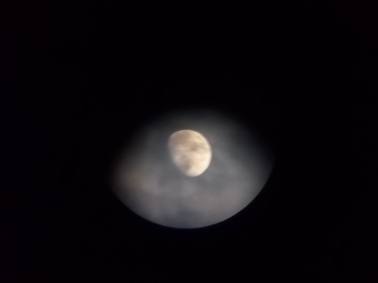 100_1733.JPG