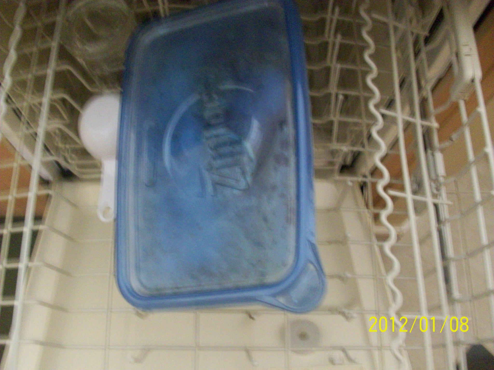 100_2789.JPG