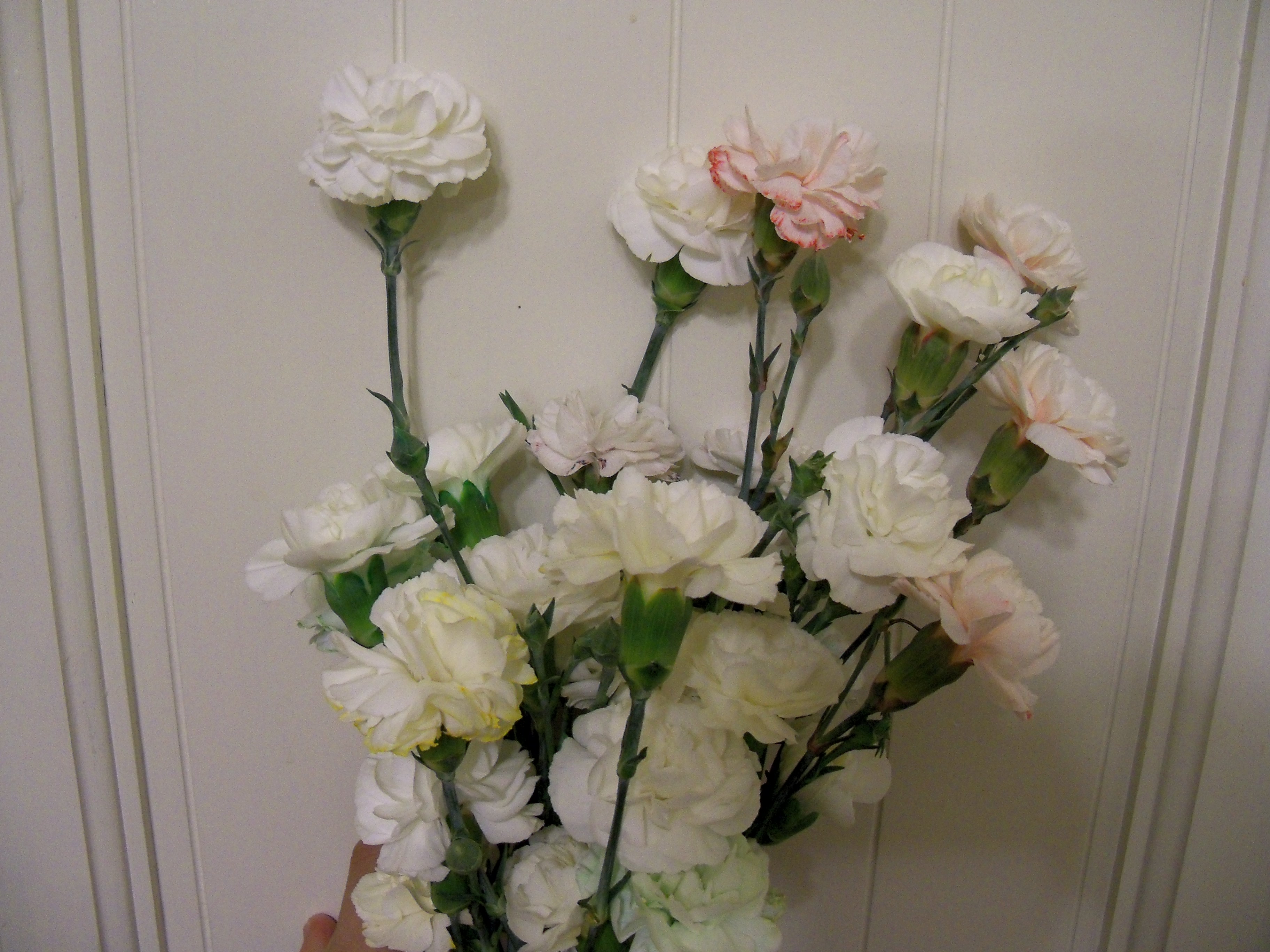 100_3056.JPG