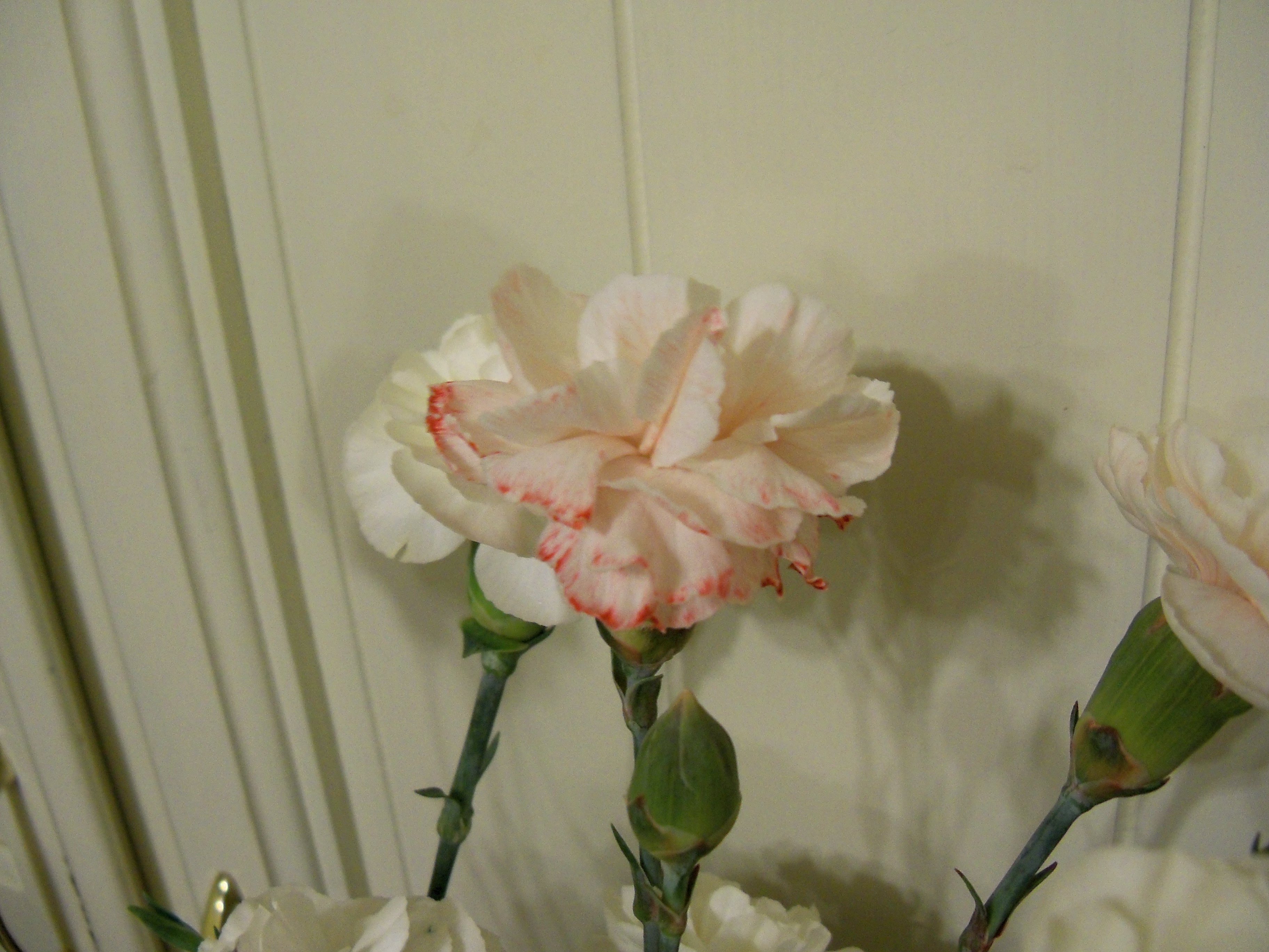 100_3058.JPG