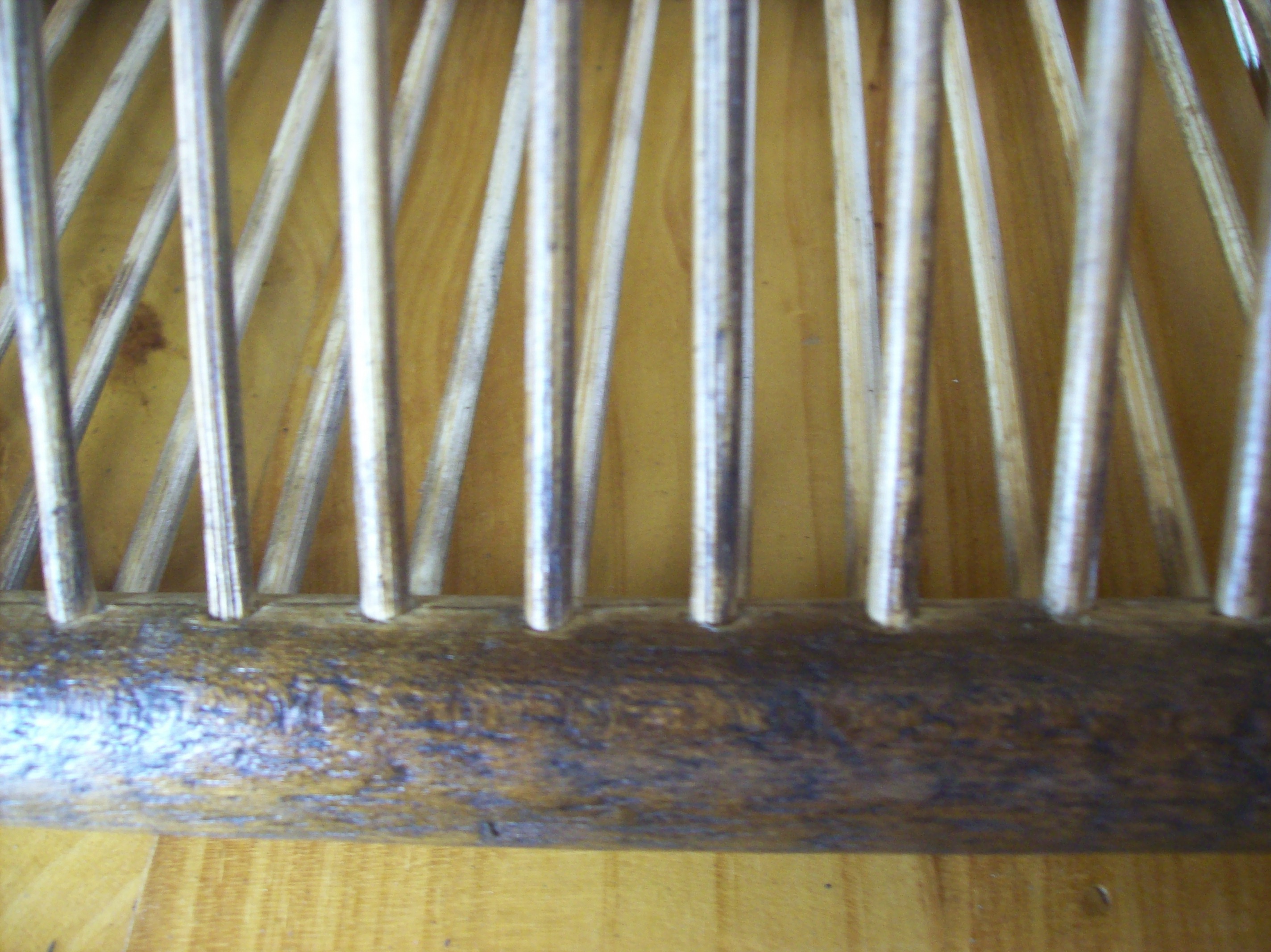100_4135.JPG