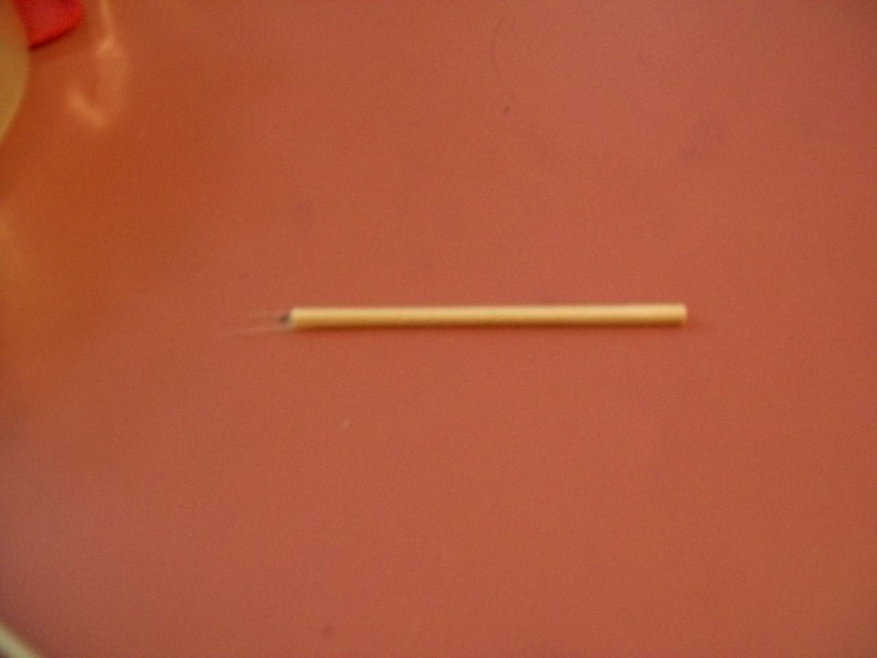 100_4781.JPG