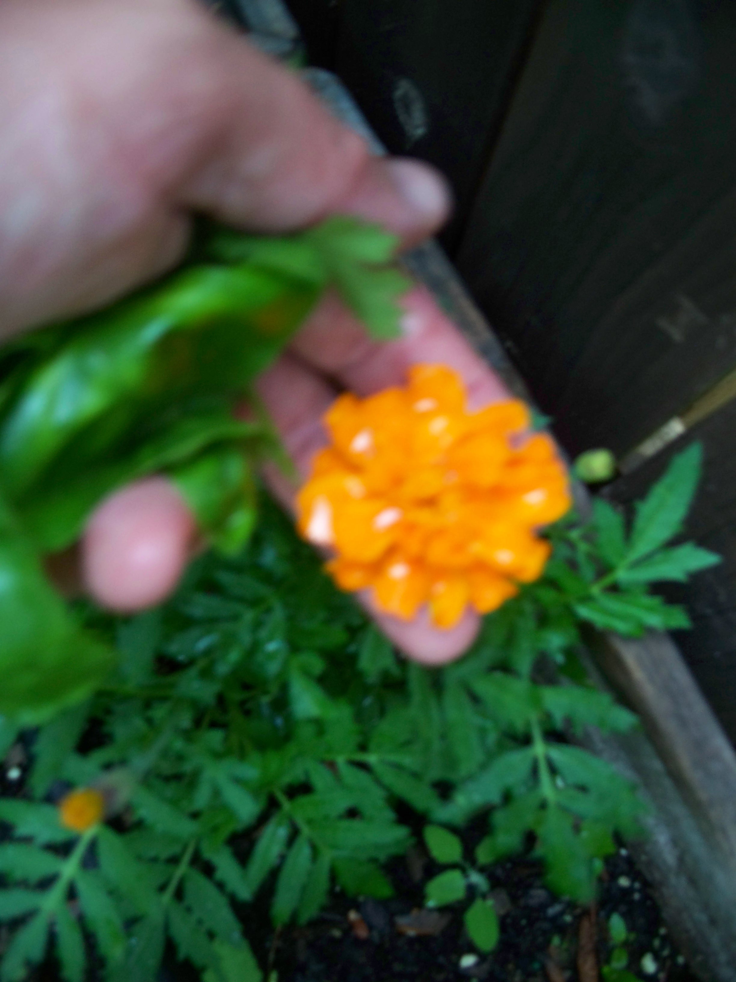 100_5458.JPG