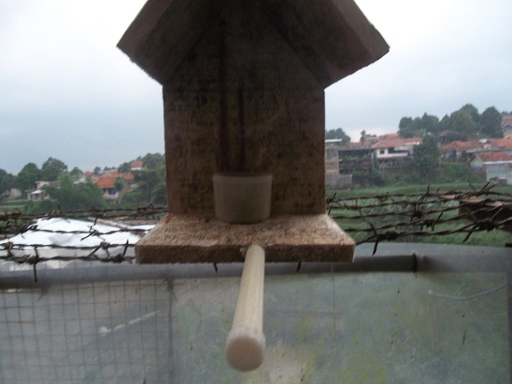 100_9803.JPG