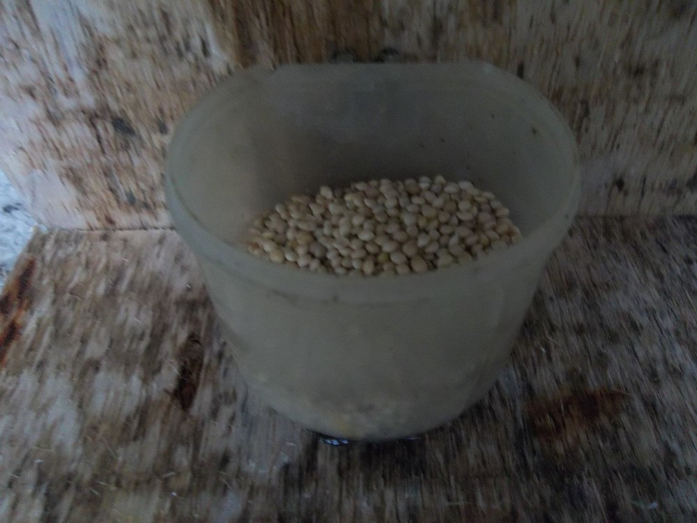 100_9804.JPG